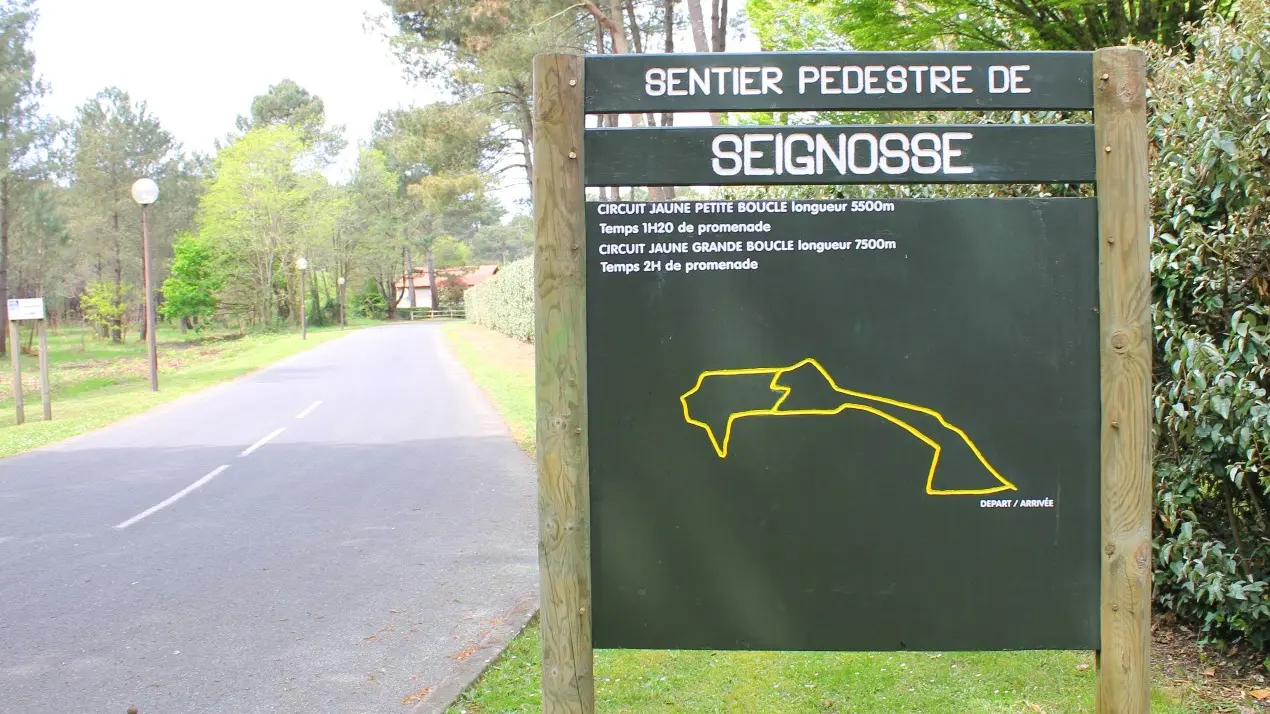 randonnée sur le sentier jaune