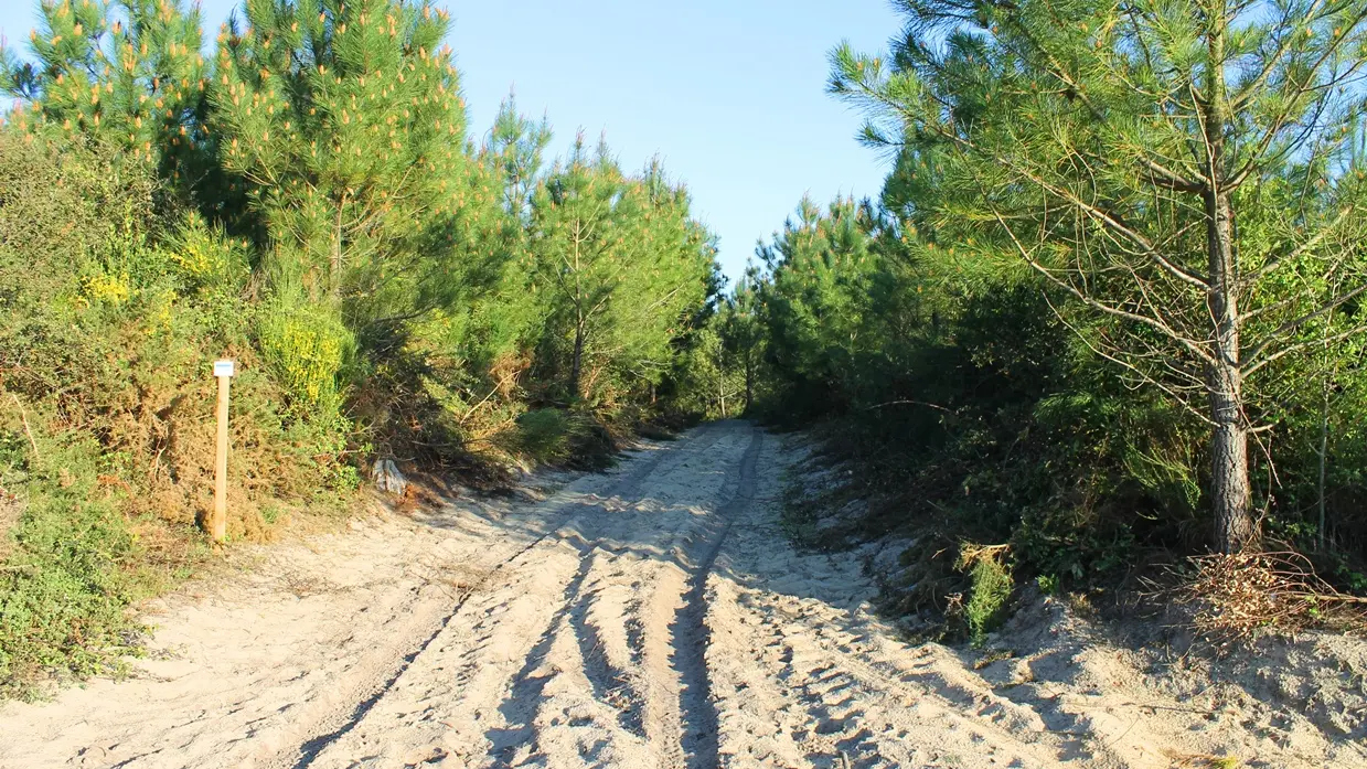 randonnée sur la boucle des plages