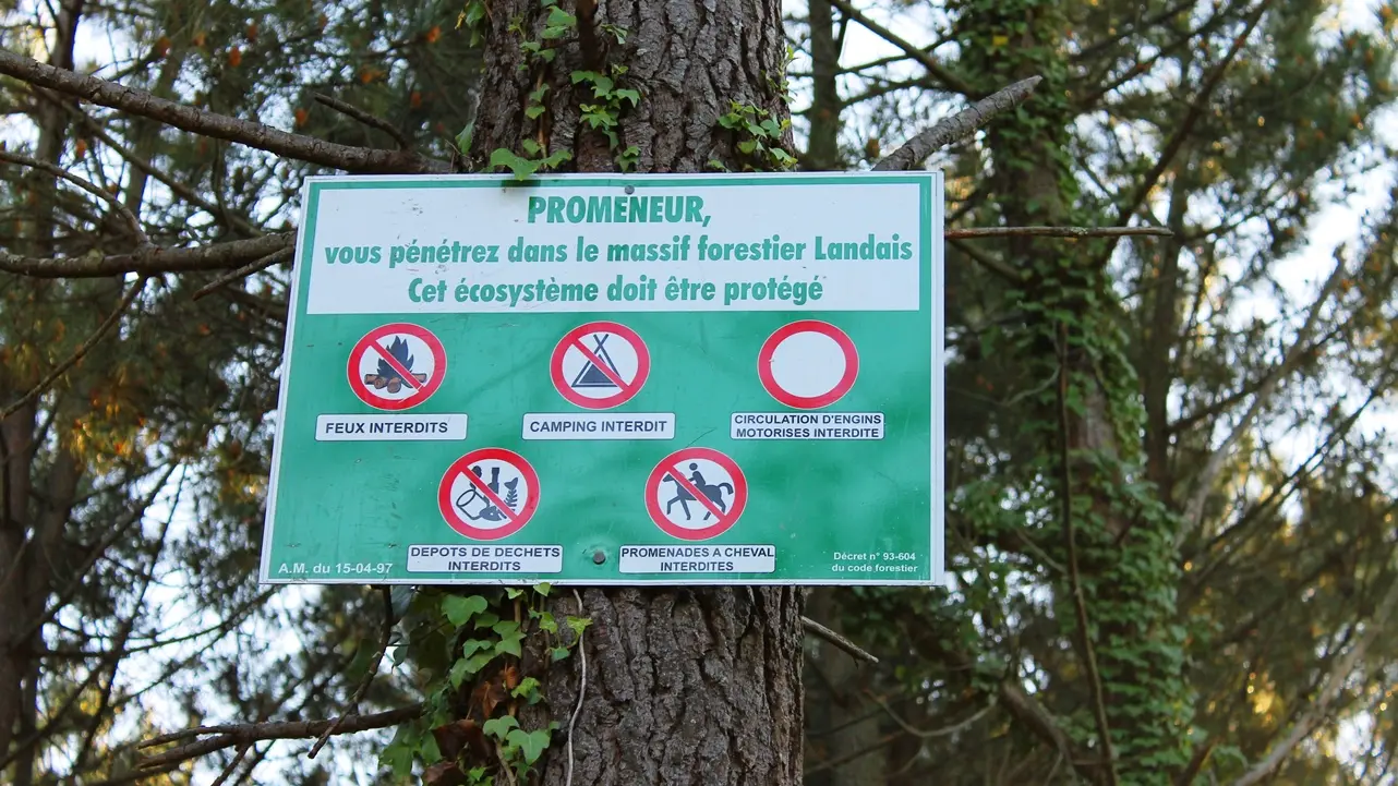 randonnée sur le circuit des plages