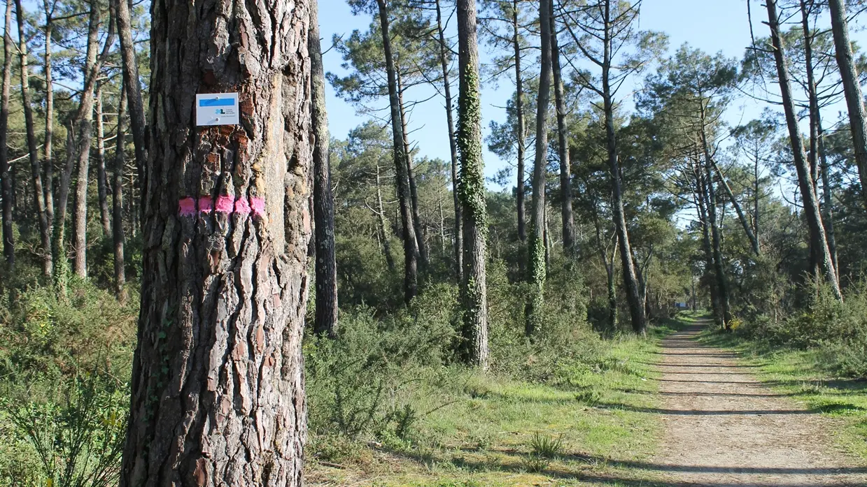randonnée sur la boucle des plages