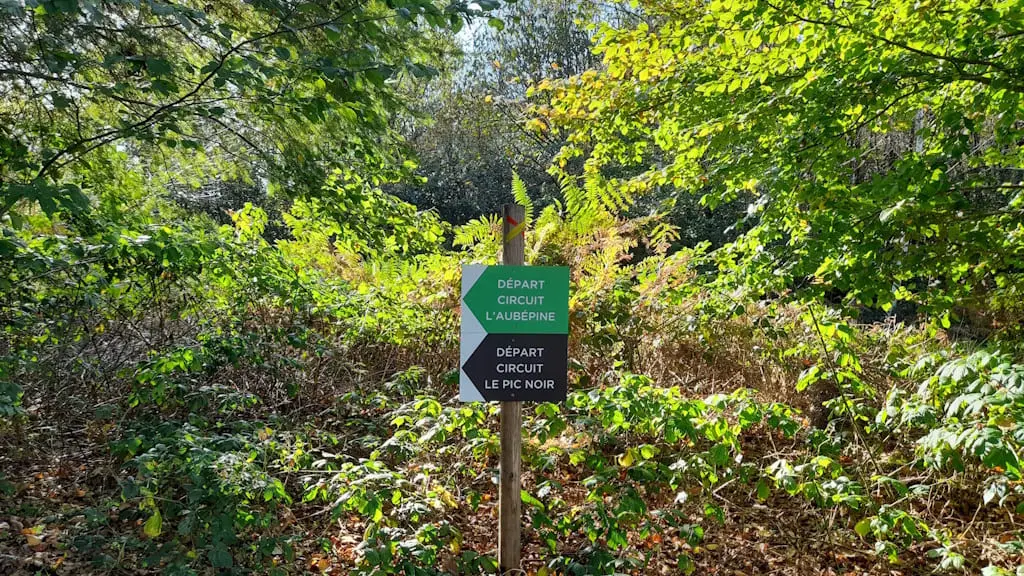 Circuits balisés de la Forêt de Lifarnet à Saint-Léonard de Noblat