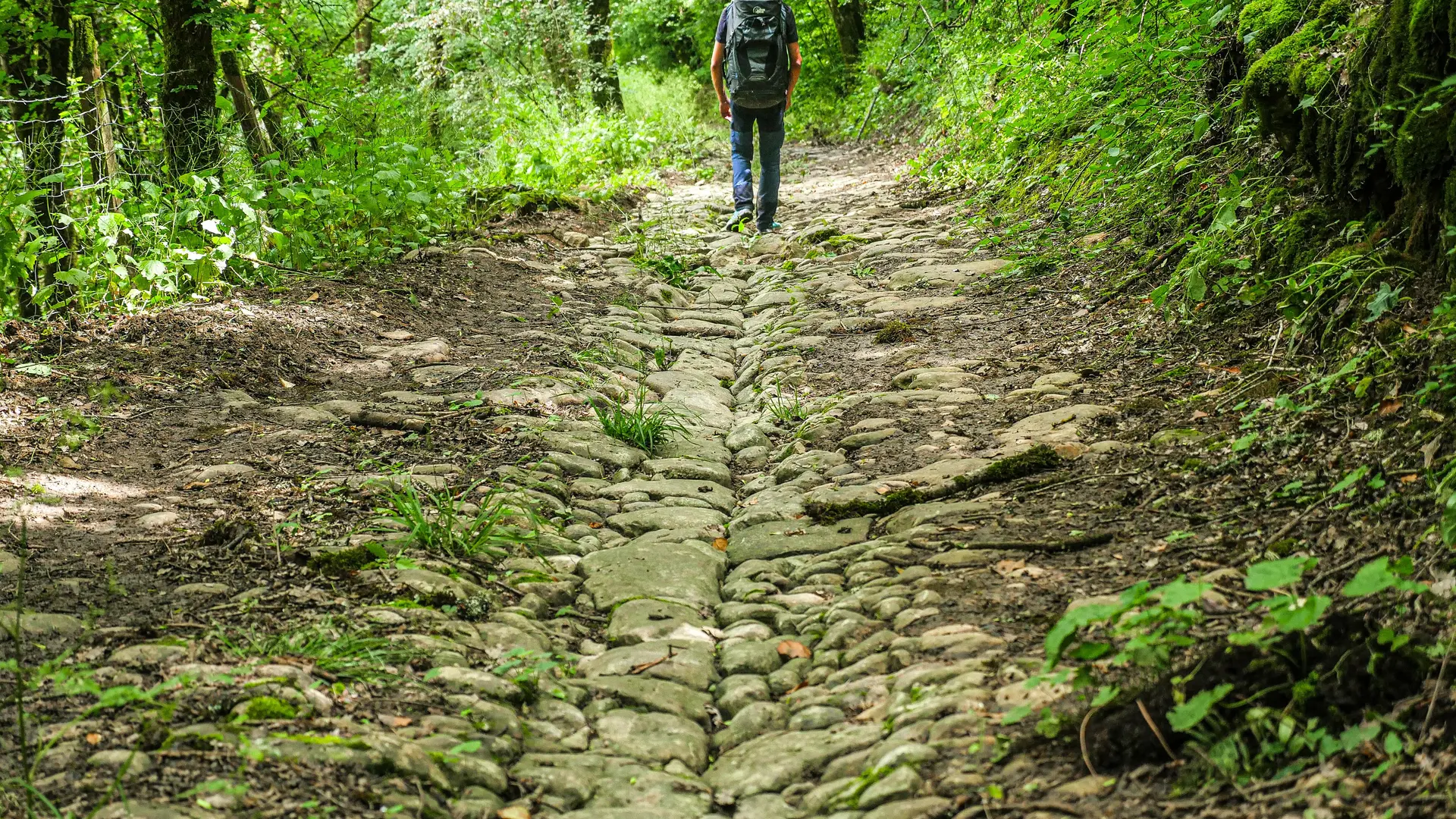 Corrèze Tourisme_GR46_Ancienne calade sous Turenne_© David Genestal_juin 2024
