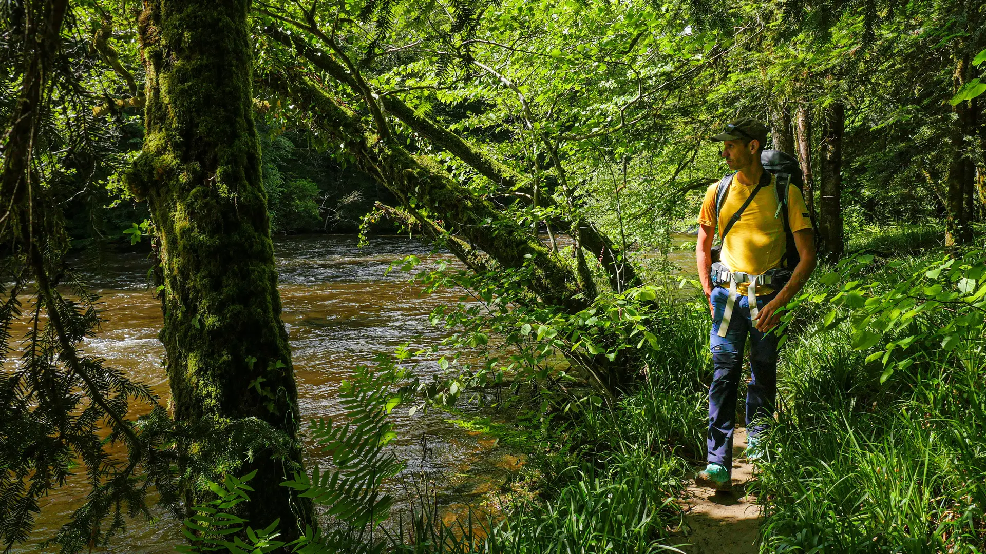 Corrèze Tourisme_GR46_Bords de Vézère (5)_© David Genestal_juin 2024
