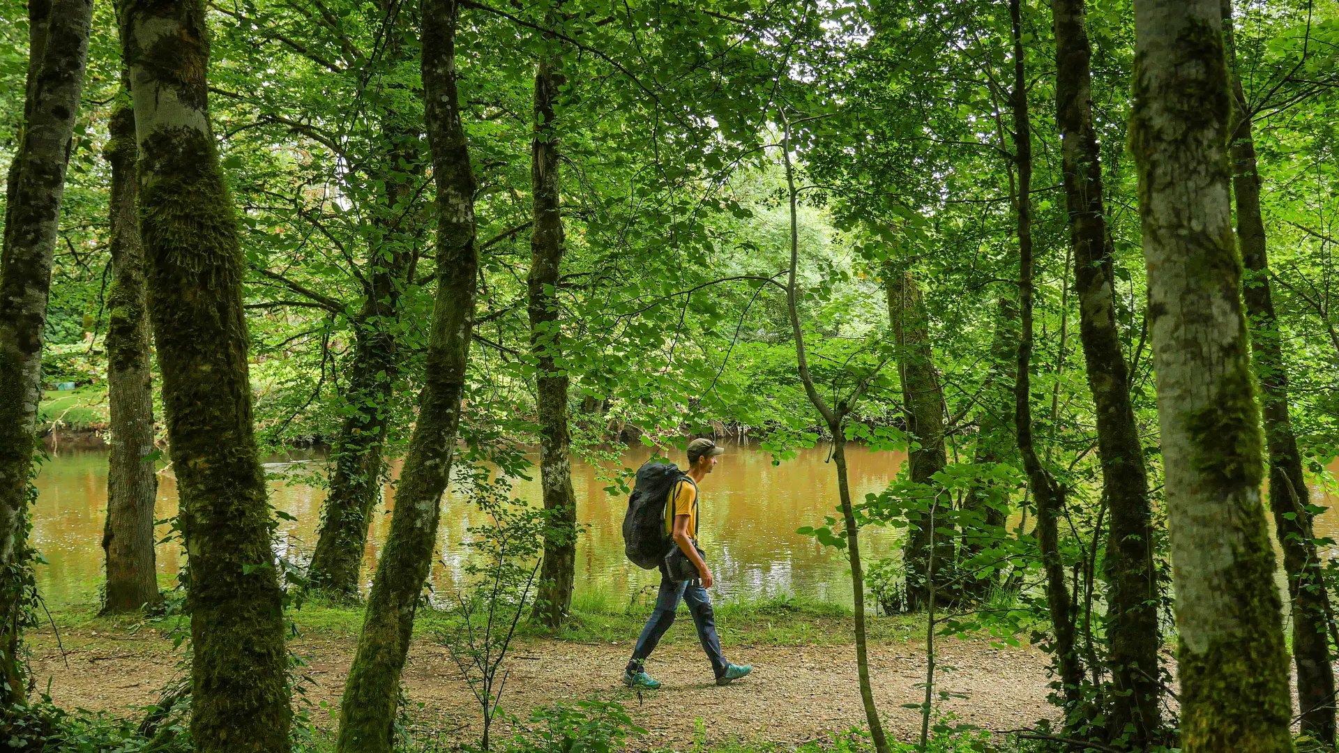 Corrèze Tourisme_GR46_Bords de la Vézère près de Saint-Viance (2)_© David Genestal_juin 2024