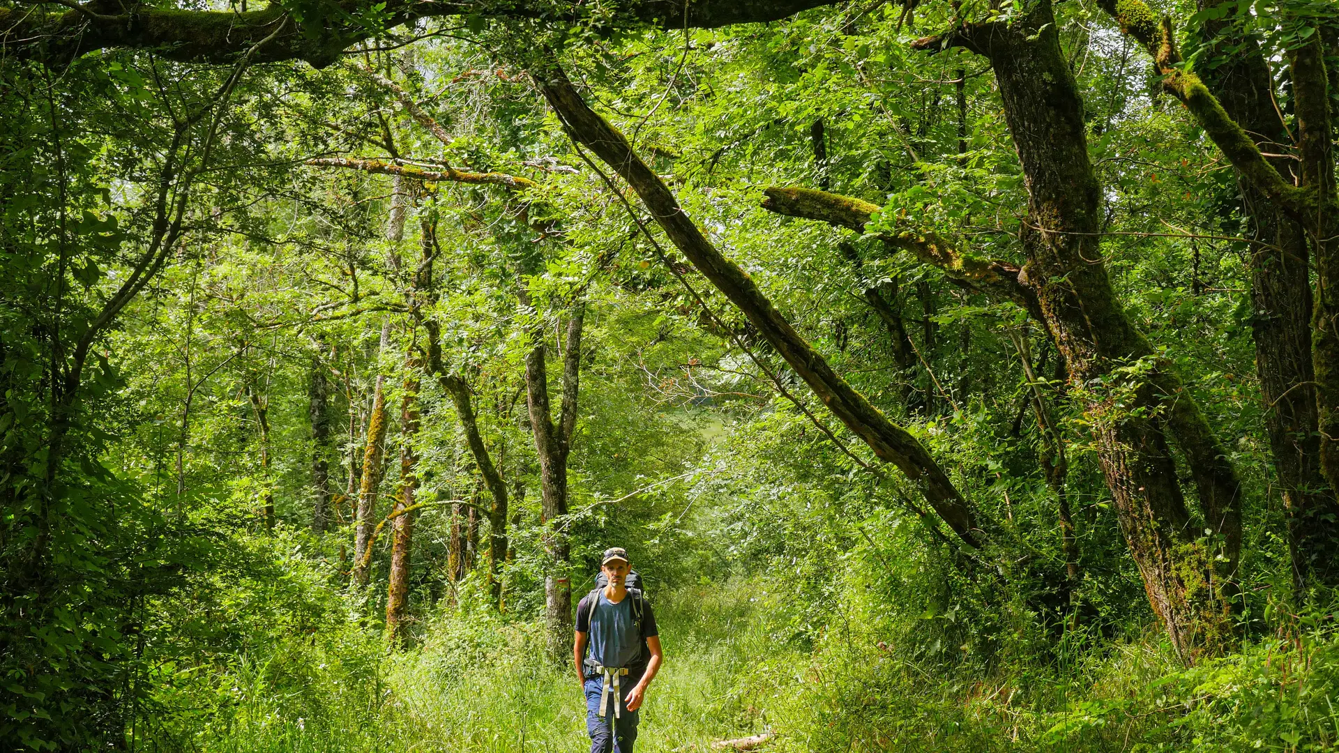 Corrèze Tourisme_GR46_Descente sur Saint-Pantaléon_© David Genestal_juin 2024
