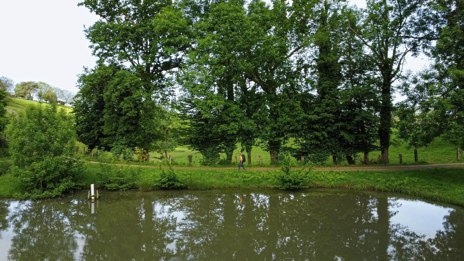 Corrèze Tourisme_GR46_Étang de Bois-Coutal (2)_© David Genestal_juin 2024