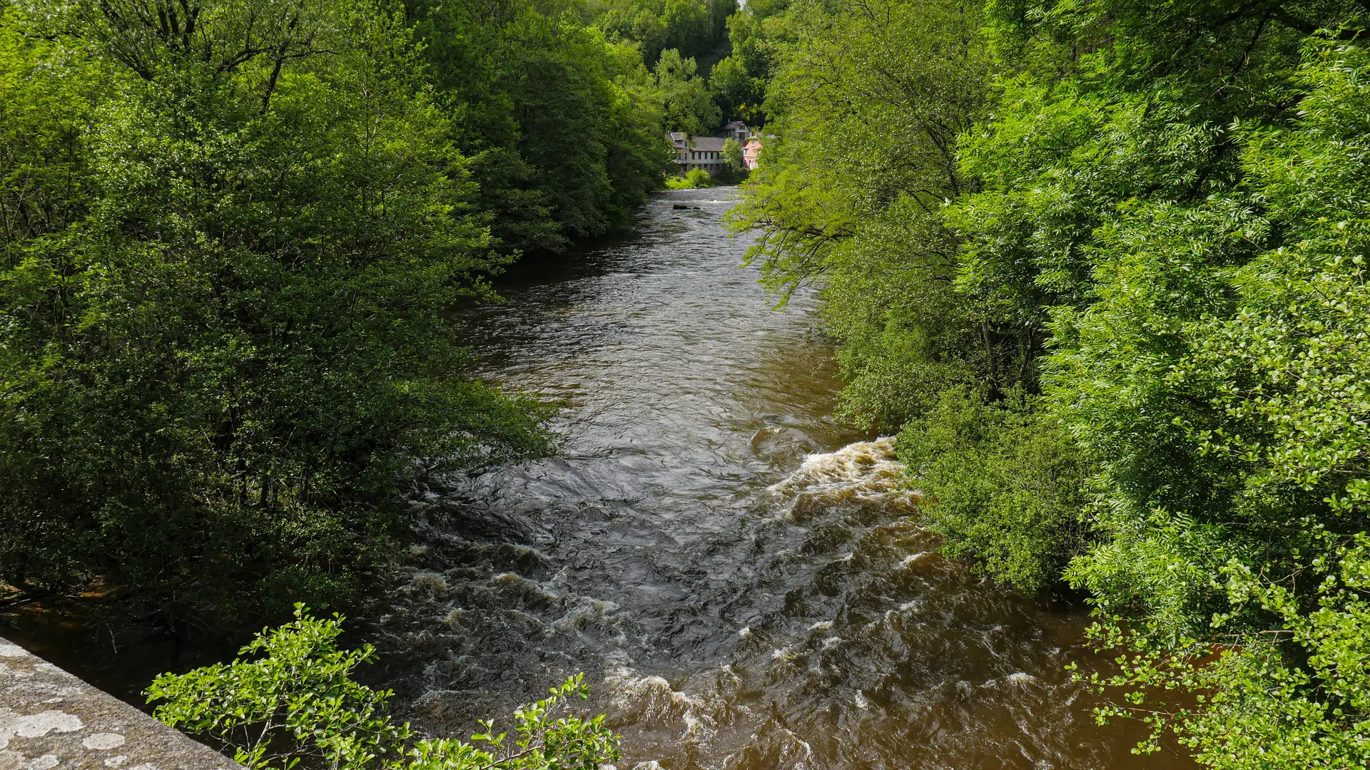 Corrèze Tourisme_GR46_La Vézère_Les Bourrats_© David Genestal_juin 2024