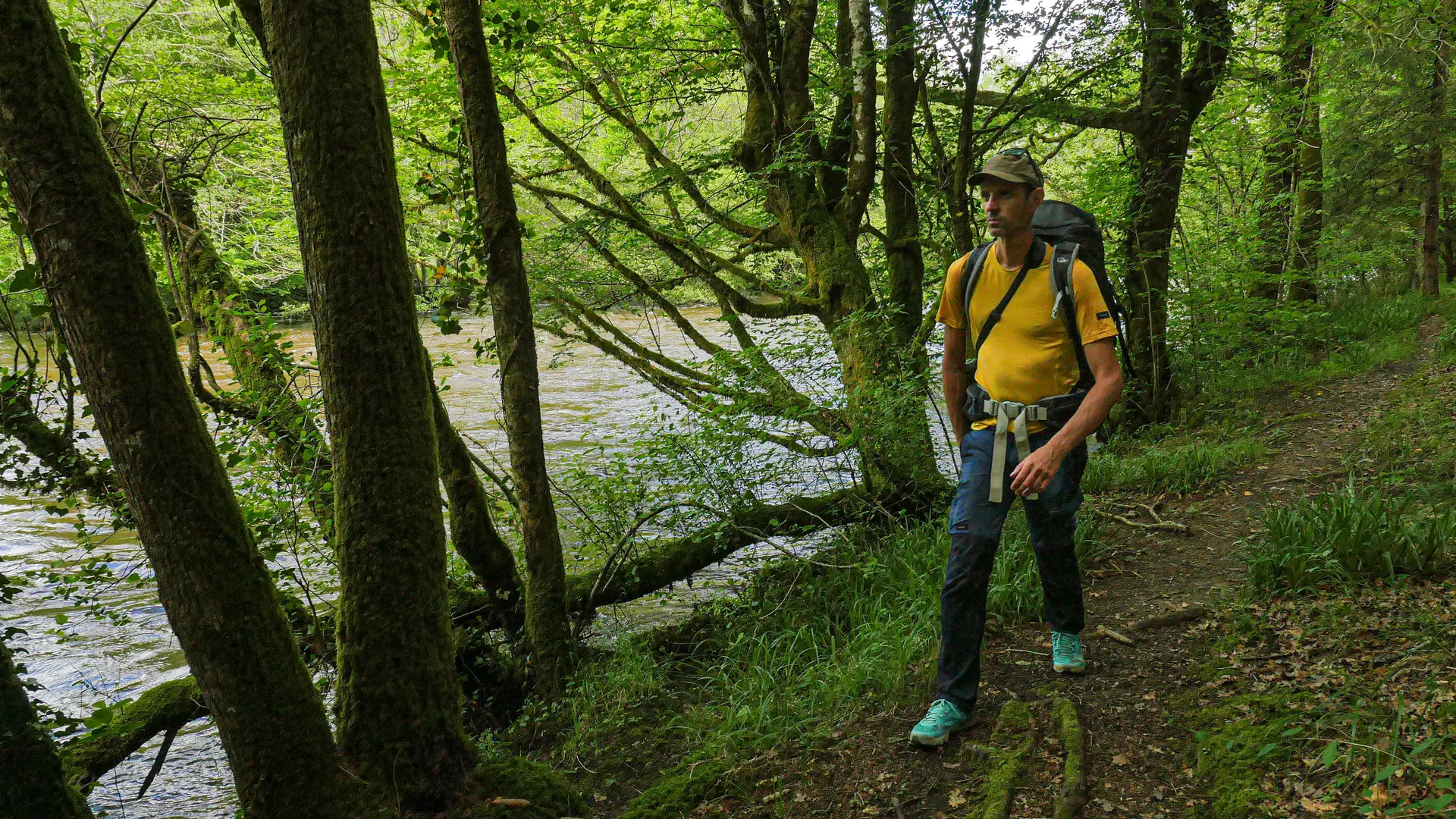 Corrèze Tourisme_GR46_Le long de la Vézère_© David Genestal_juin 2024