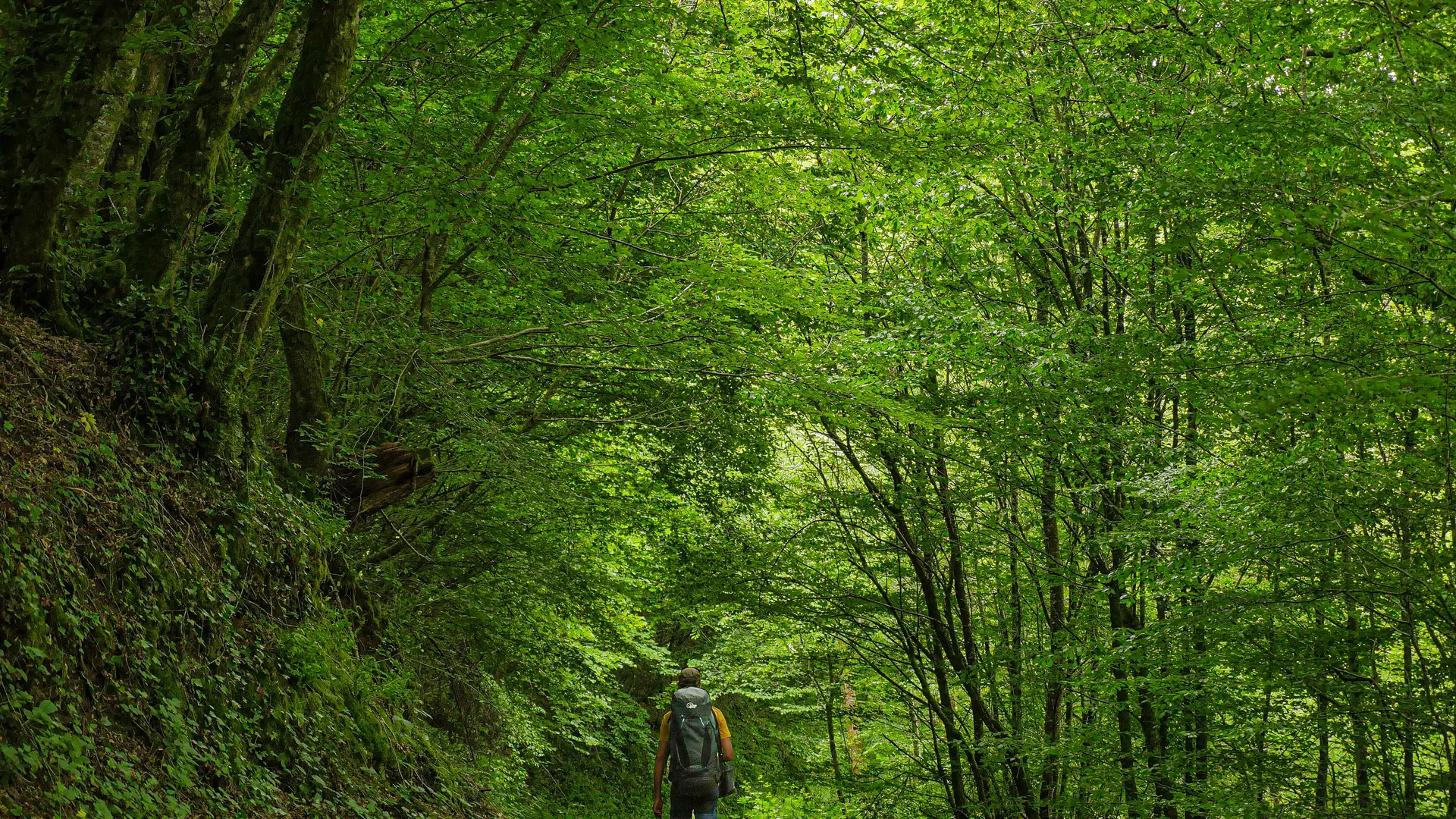 Corrèze Tourisme_GR46_Sortie d'Uzerche_© David Genestal_juin 2024