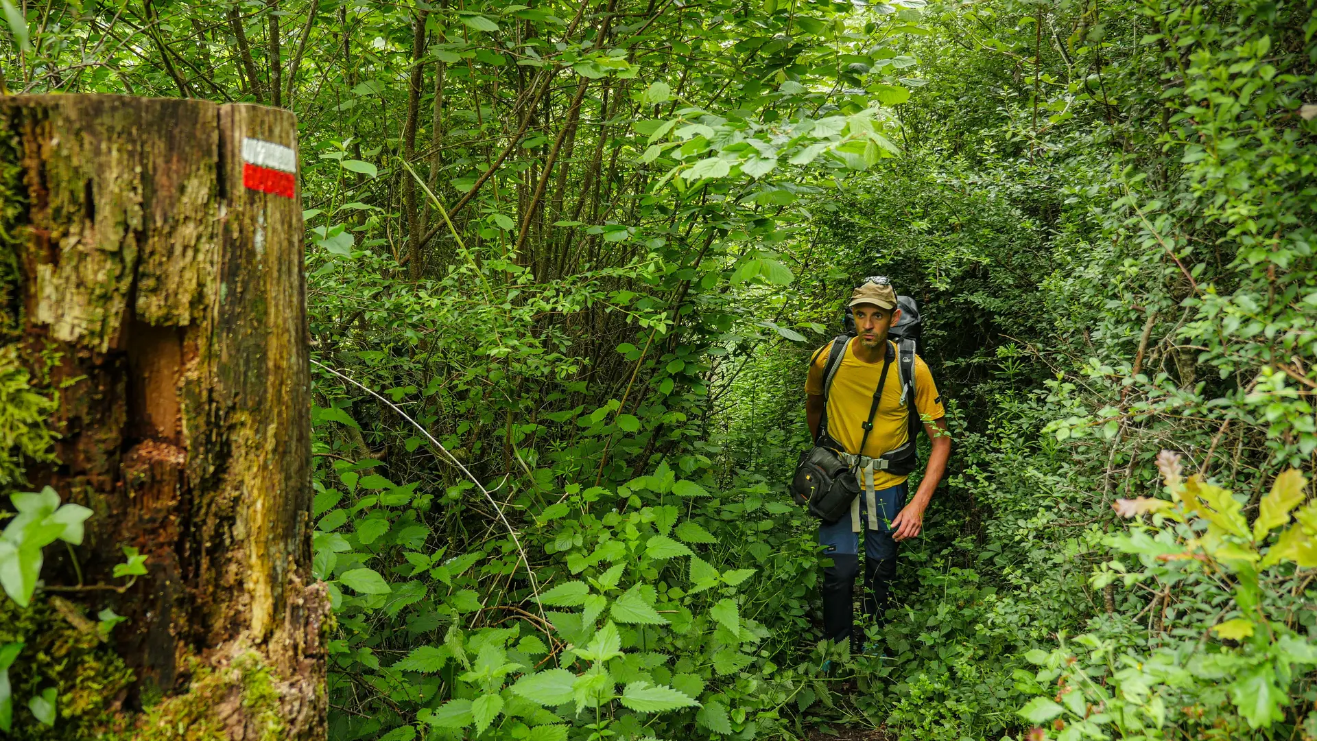 Corrèze Tourisme_GR46_Sur le GR_© David Genestal_juin 2024