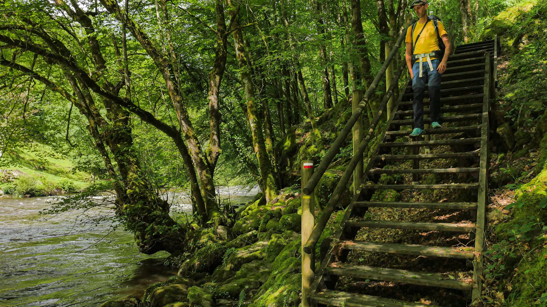 Corrèze Tourisme_GR46_Passage aménagé (2)_© David Genestal_juin 2024