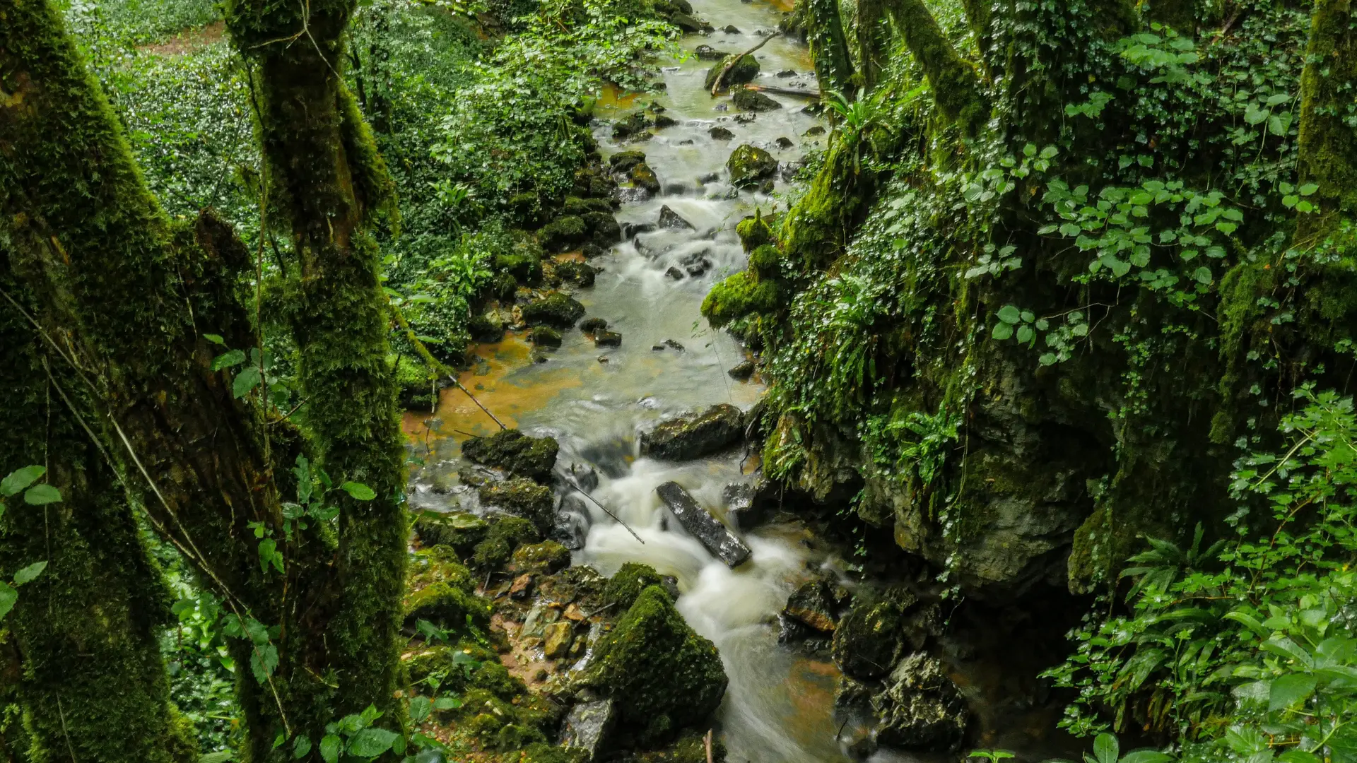 Corrèze Tourisme_GR46_Perte de la Couze_© David Genestal_juin 2024