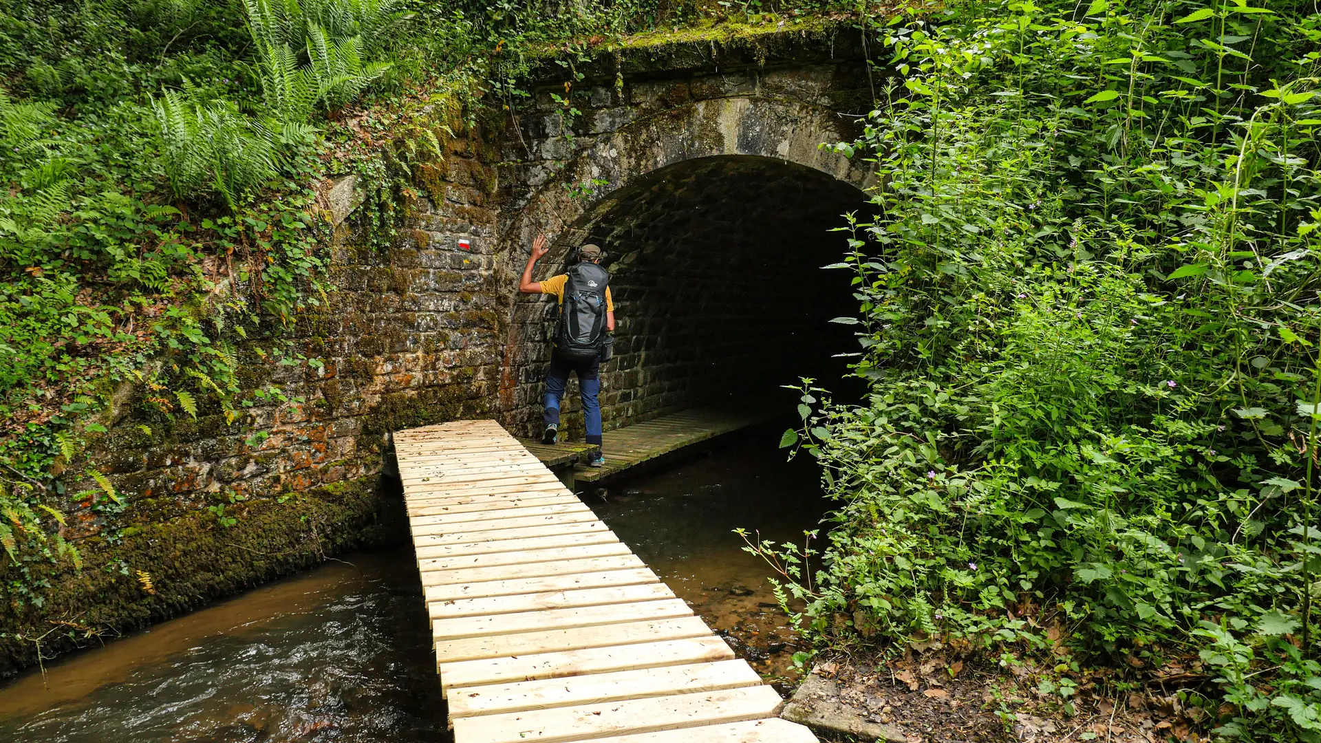 Corrèze Tourisme_GR46_Ruisseau d'Anglard_© David Genestal_juin 2024