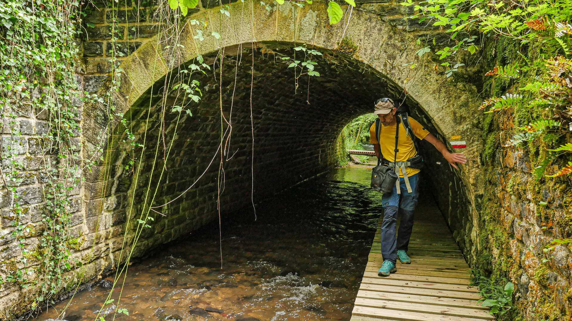 Corrèze Tourisme_GR46_Ruisseau d'Anglard (3)_© David Genestal_juin 2024