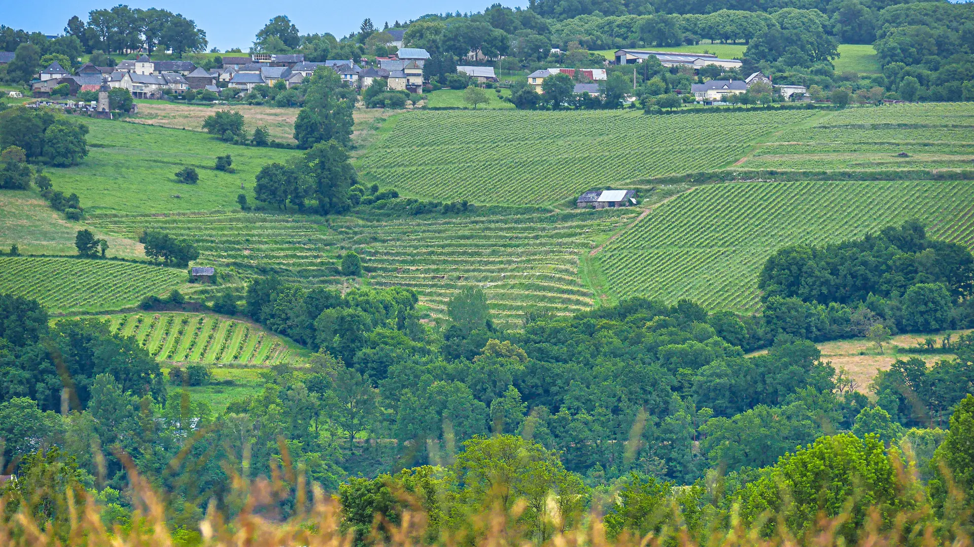 Corrèze Tourisme_GR46_Vignobles des coteaux de la Vézère_© David Genestal_juin 2024