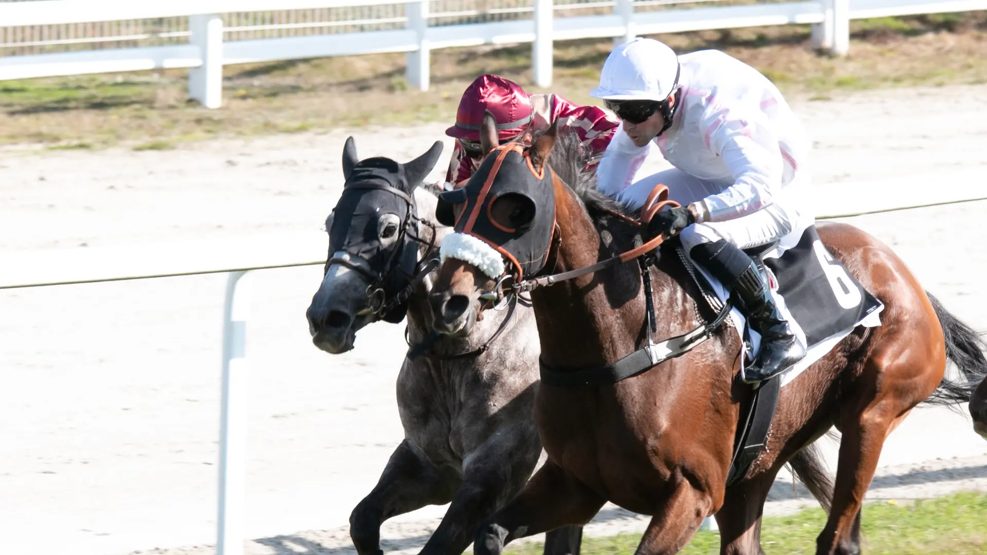 Couzeix - Hippodrome