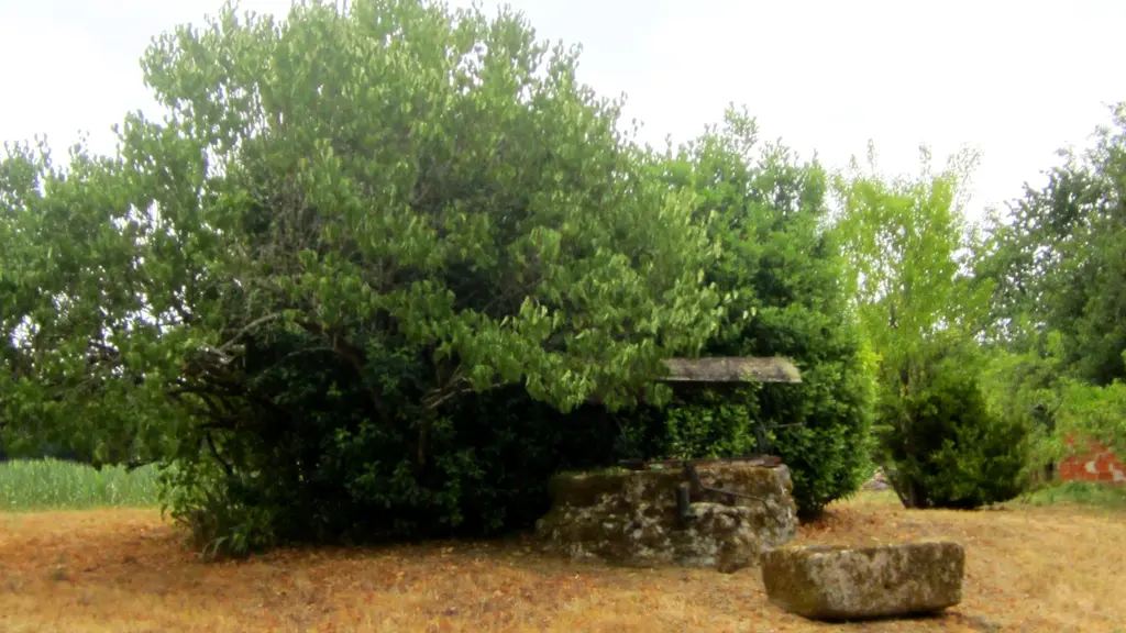 Cour 2 - Sirtaqui