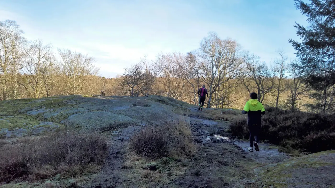 Course et manifestation UniVert Trail