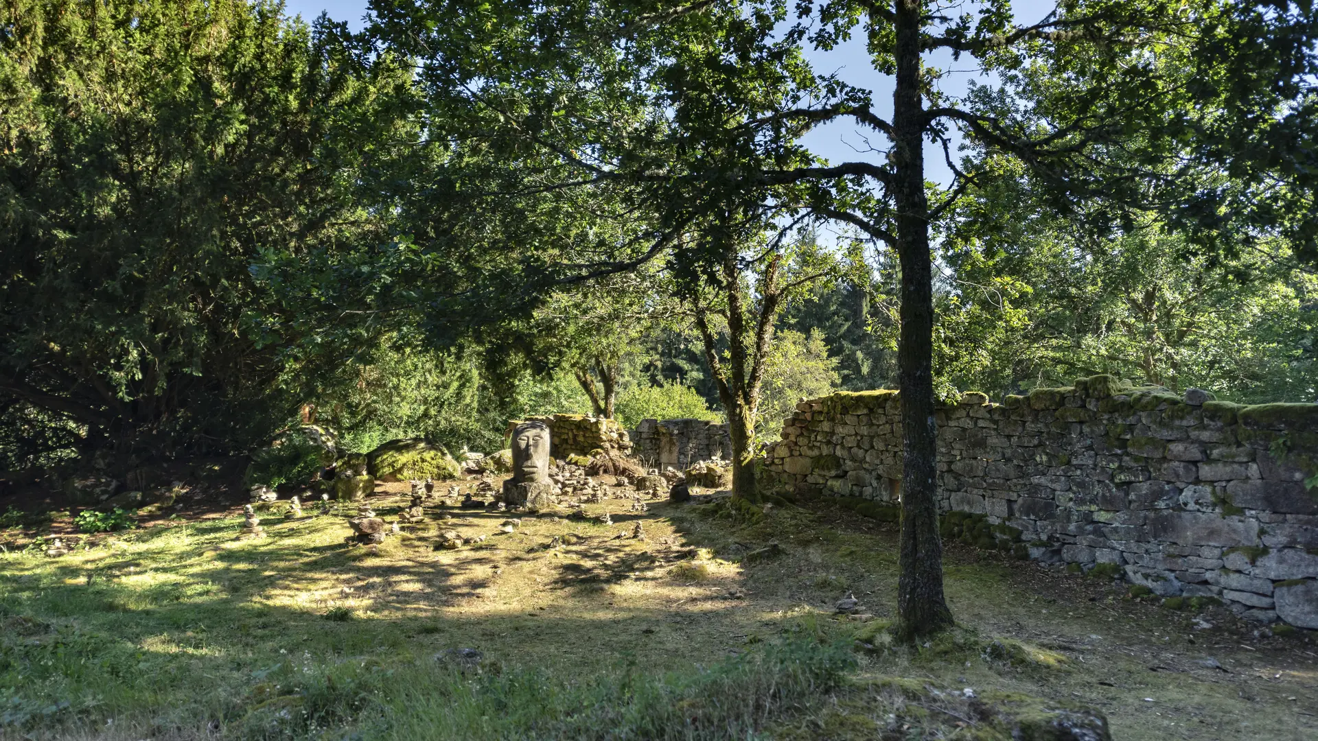 Nature