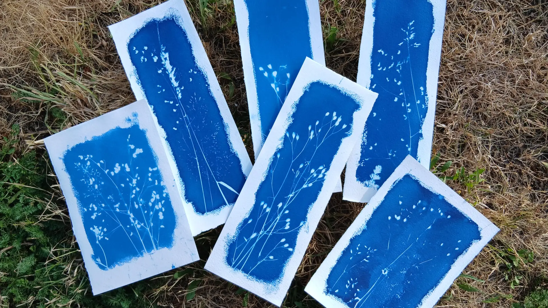 Cyanotype_Gaëlle Caublot