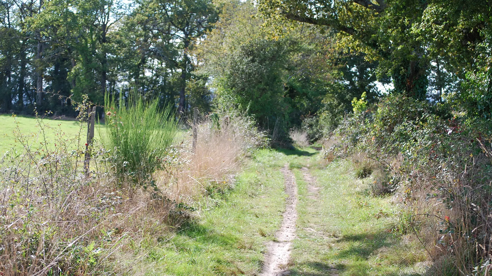 DSC_0070