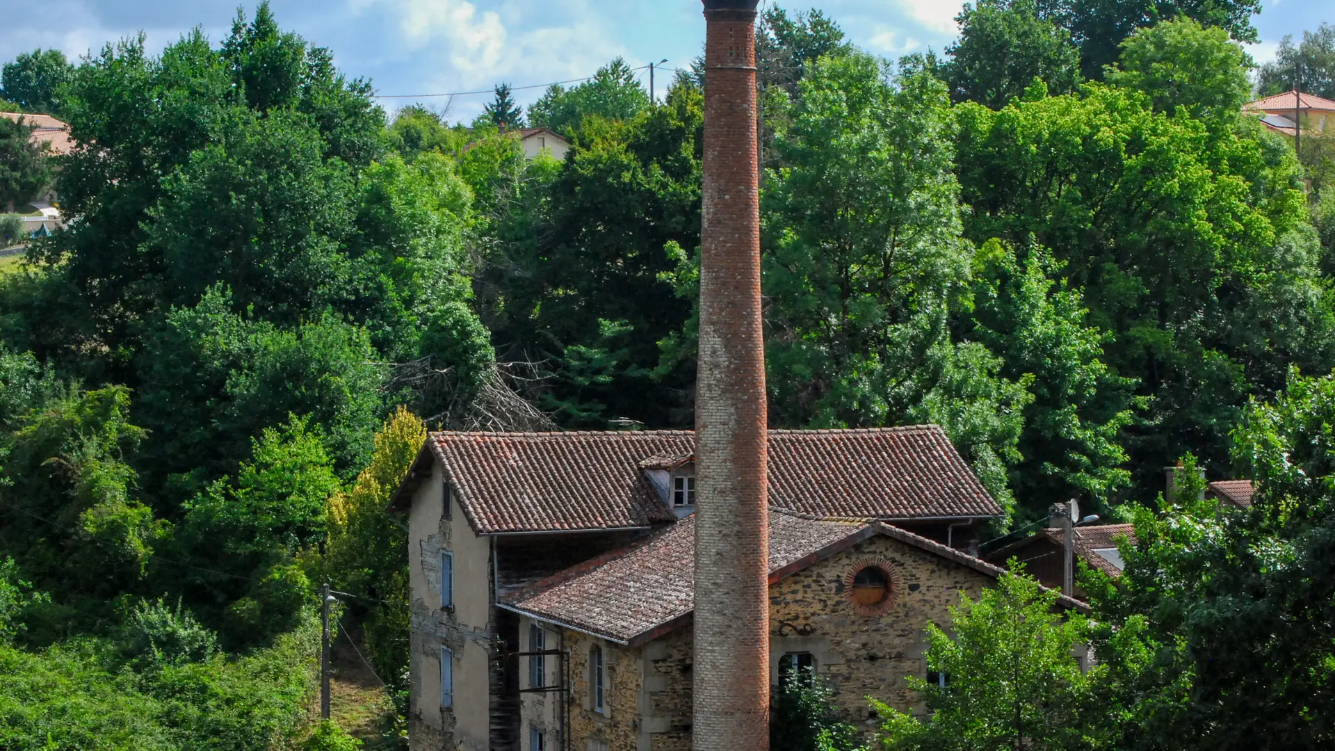 DSC_0373