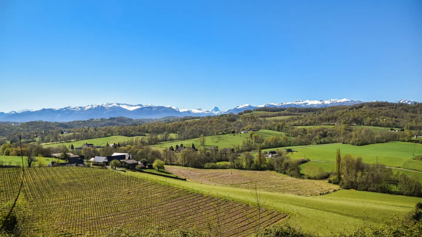 Gan - Côteau de Bastarrous - Panorama sur les Pyrénées 1