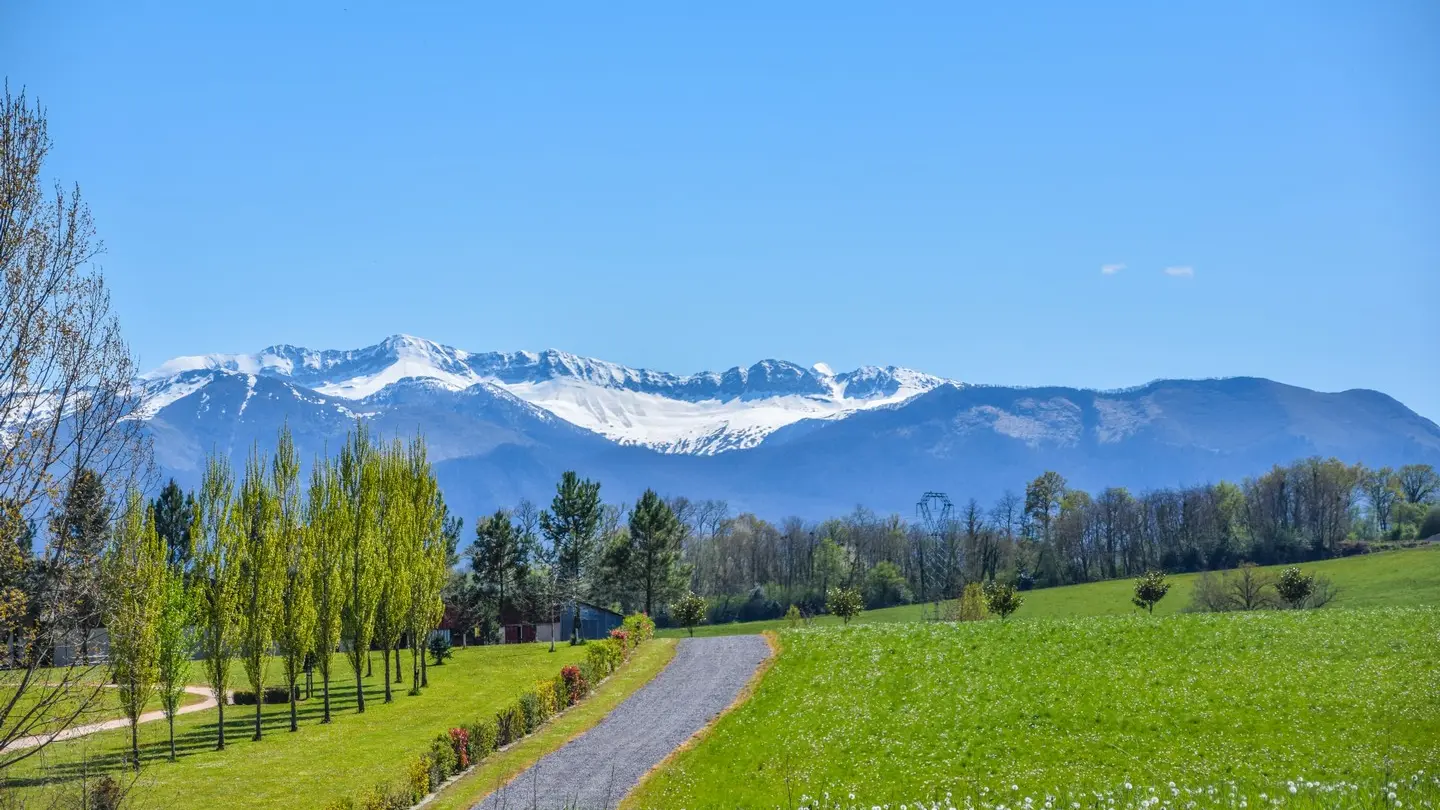 Tolou Acot - Vue Pyrénées