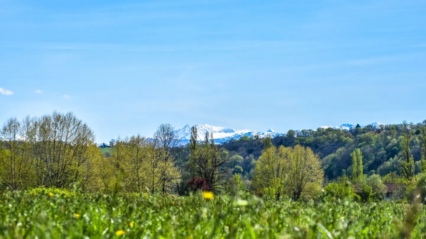 Vue Pyrenées