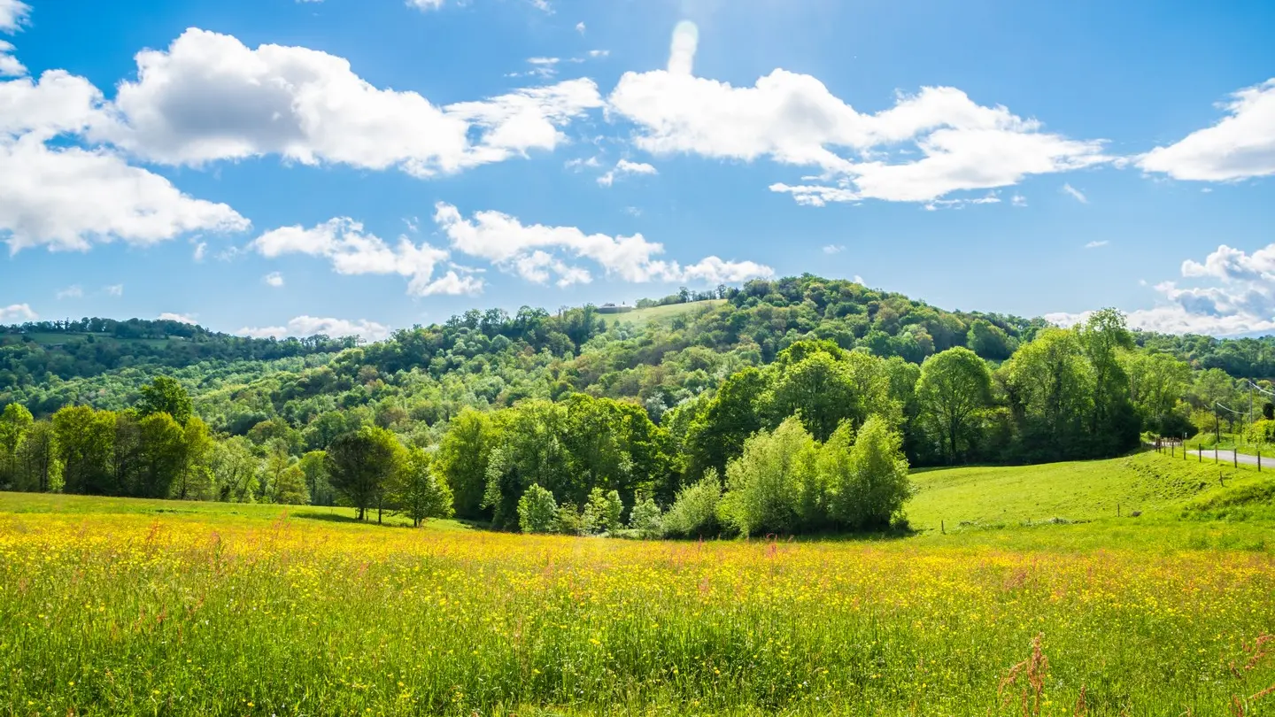 Collines Bosdarros