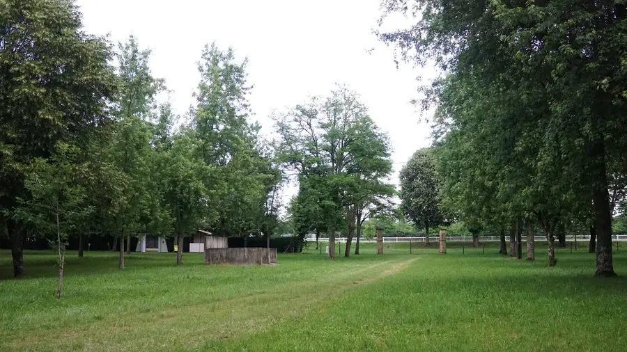 DSC00164