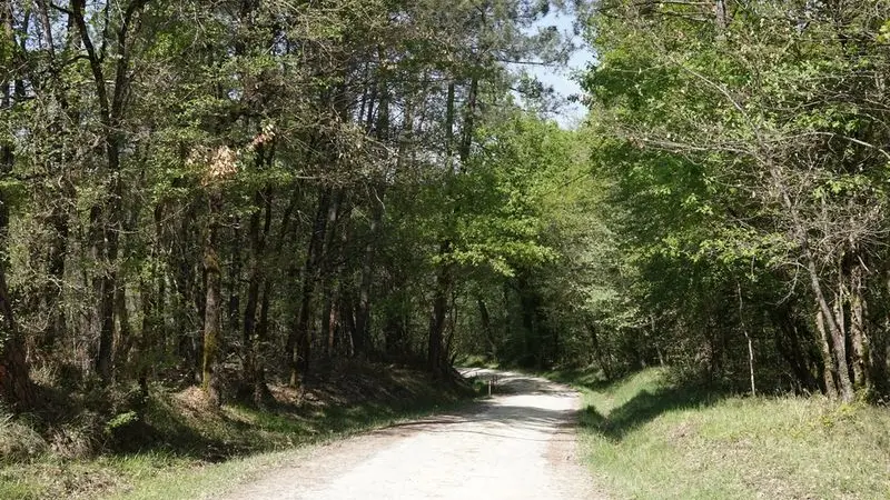 DSC08848