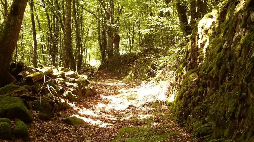 DSCF54493855-1000x500