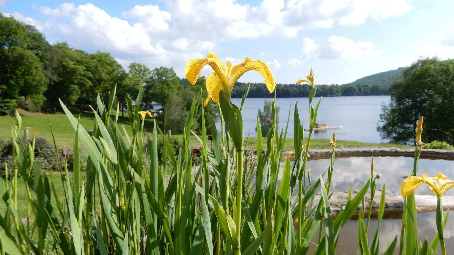 jardin_des_simples_ile_de_vassivière