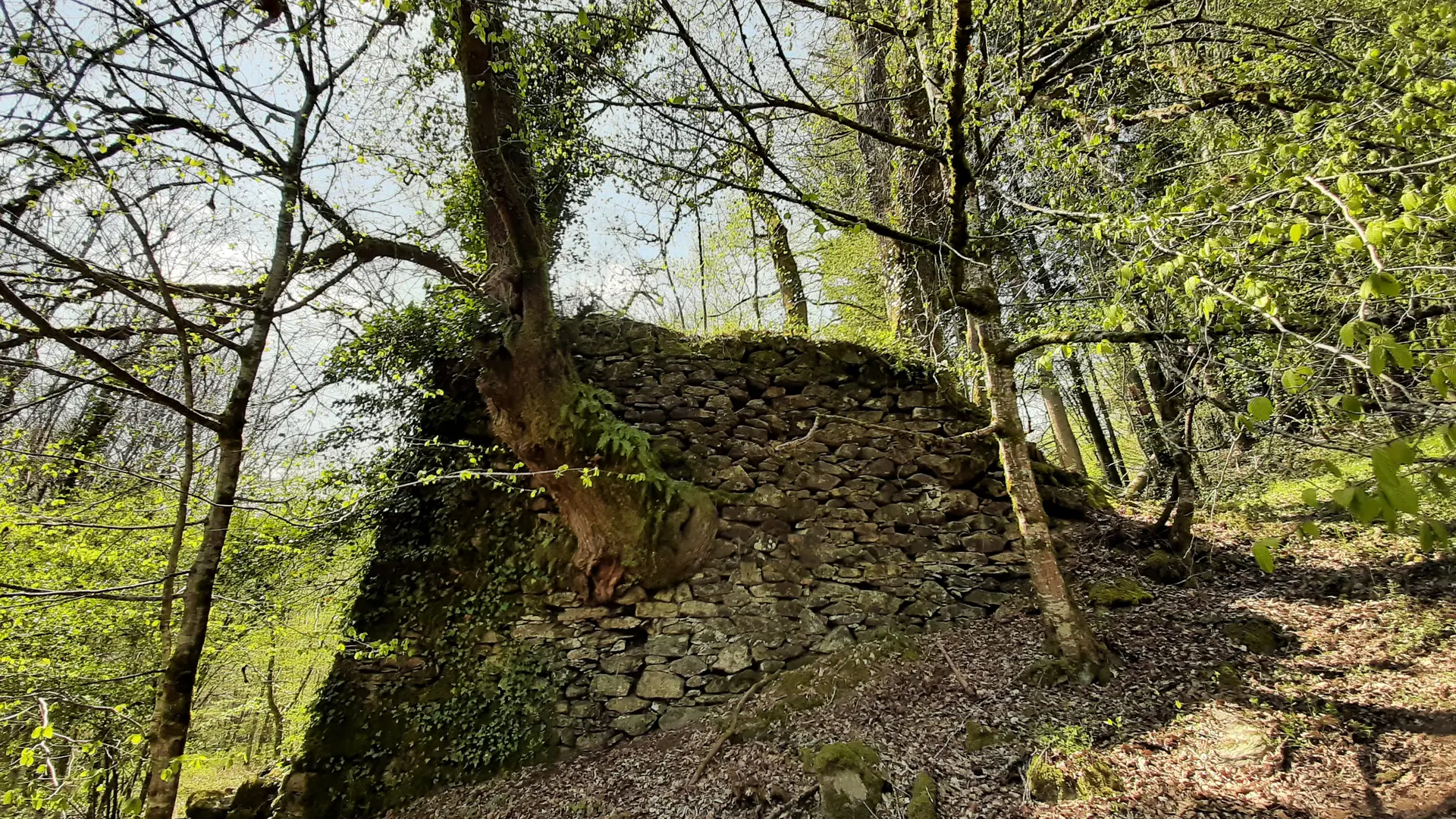 De Bialet aux Deux Viaducs - St-Ybard © A.Blanchet - Office de tourisme terres de Corrèze (21)