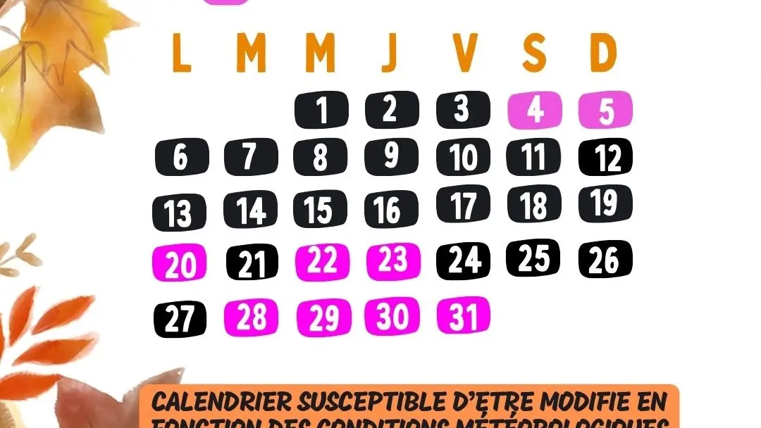 Des chênes toi aventures octobre25