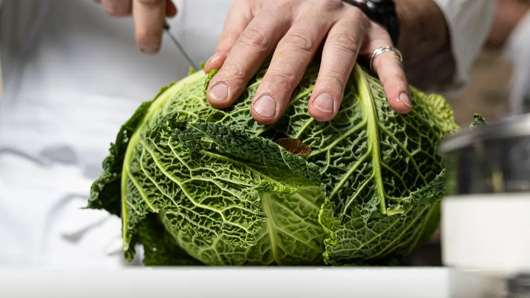 Découpage du chou © Ilya Kagan