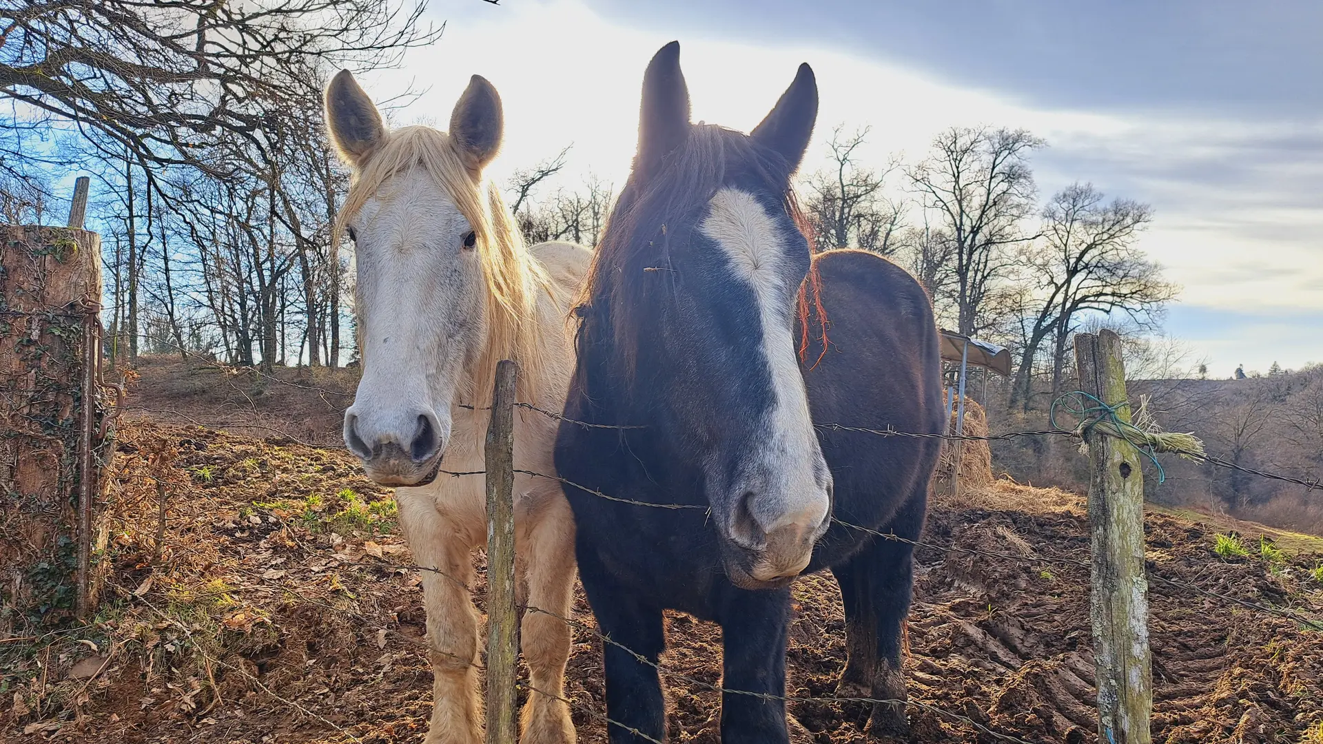 Domaine des Monts - La Siauve - Beyssac © JL OT TDC (9)