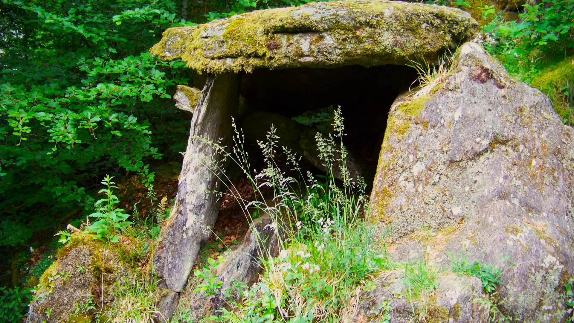Dolmen Espartignac - Puy Chammard -Uzerche © N.Jumelle - Office de Tourisme Terres de Correze