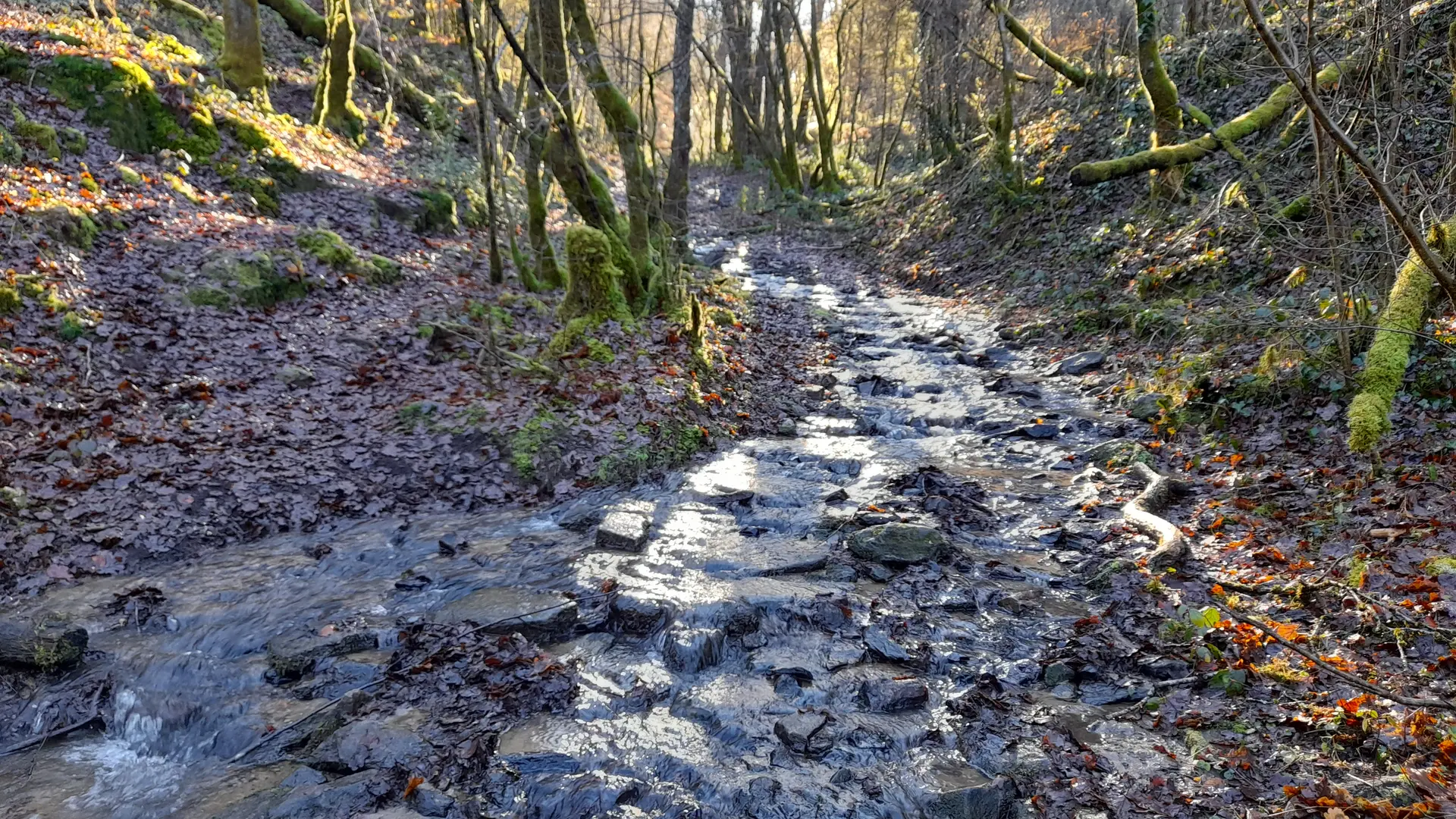 Du Lac aux Deux Moulins - Vigeois ©N.Jumelle - Office de Tourisme Terres de Corrèze (11)