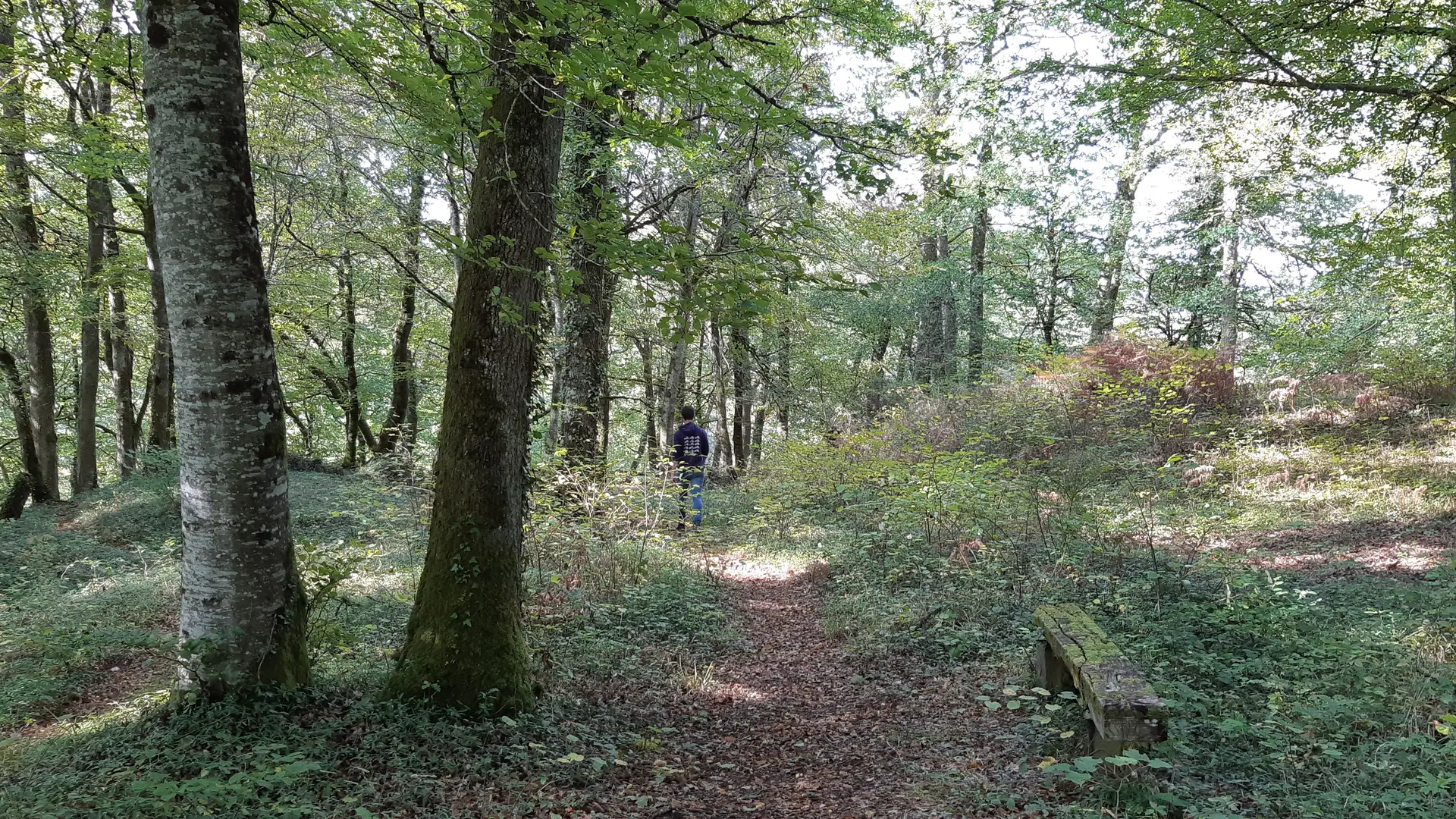 Du POC au Dolmen - Espartignac © A.Blanchet - Office de Tourisme Terres de Corrèze (5)