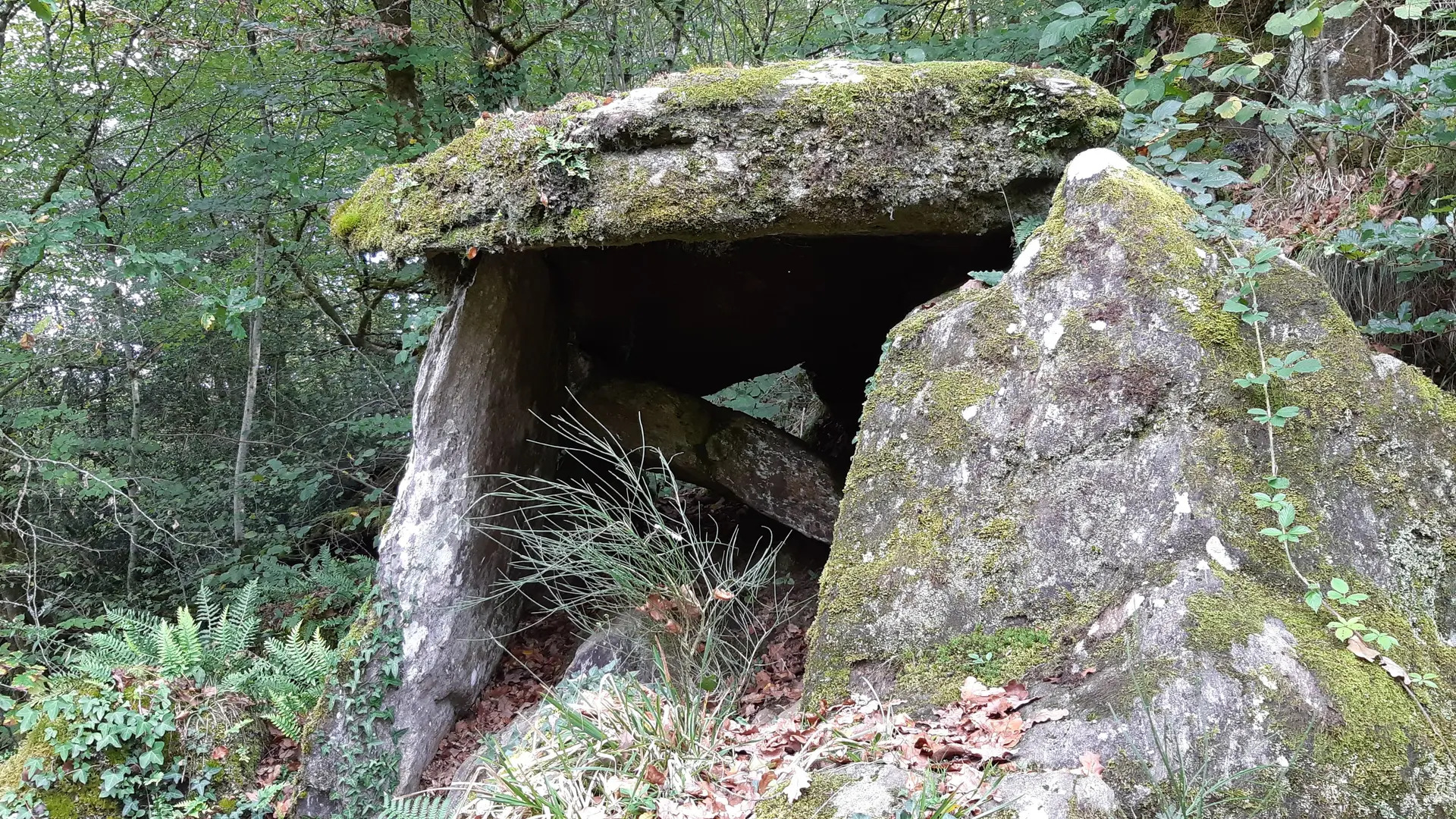 Du POC au Dolmen - Espartignac © A.Blanchet - Office de Tourisme Terres de Corrèze (7)