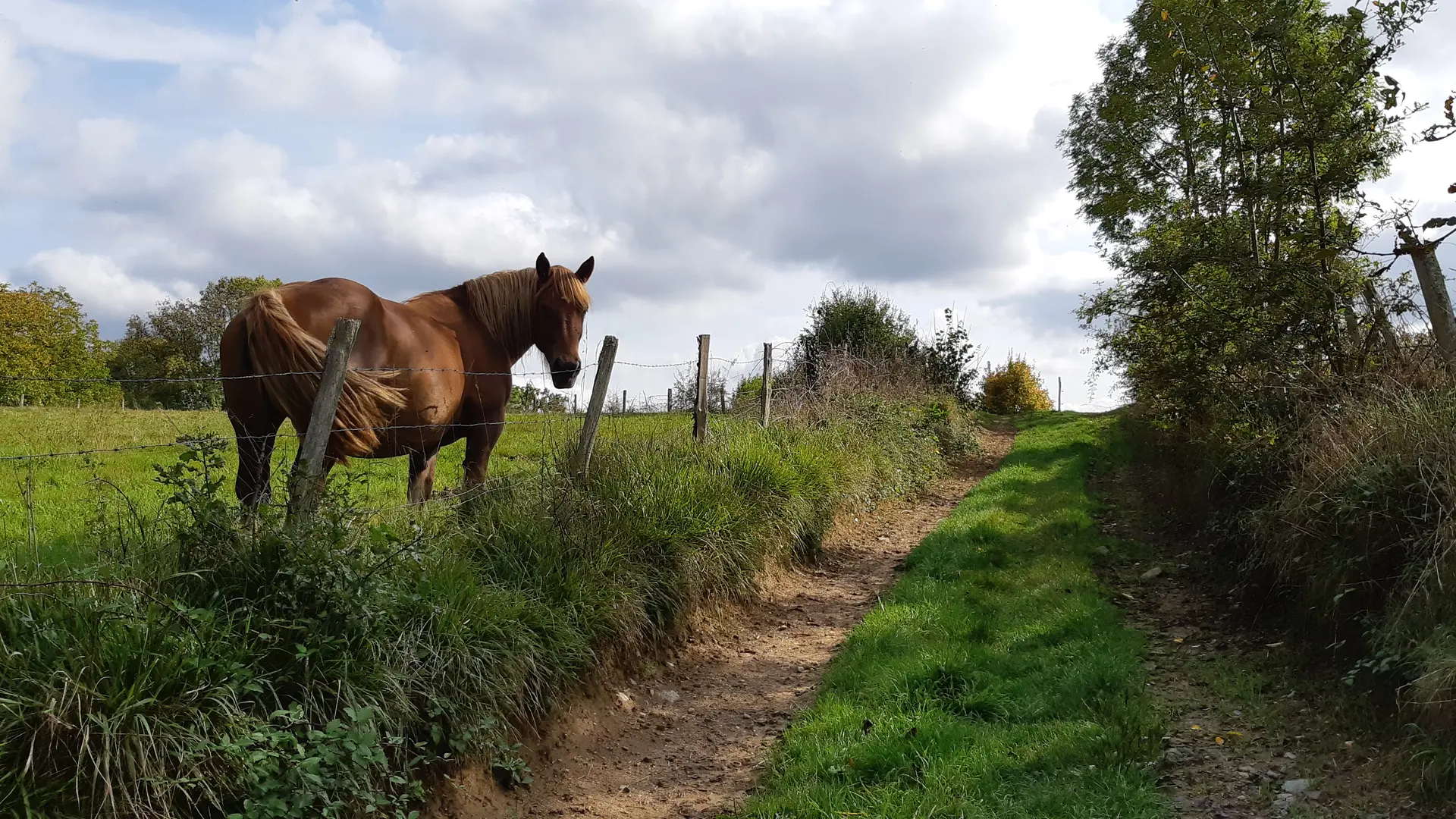 Du POC au Dolmen - Espartignac © A.Blanchet - Office de Tourisme Terres de Corrèze (2)