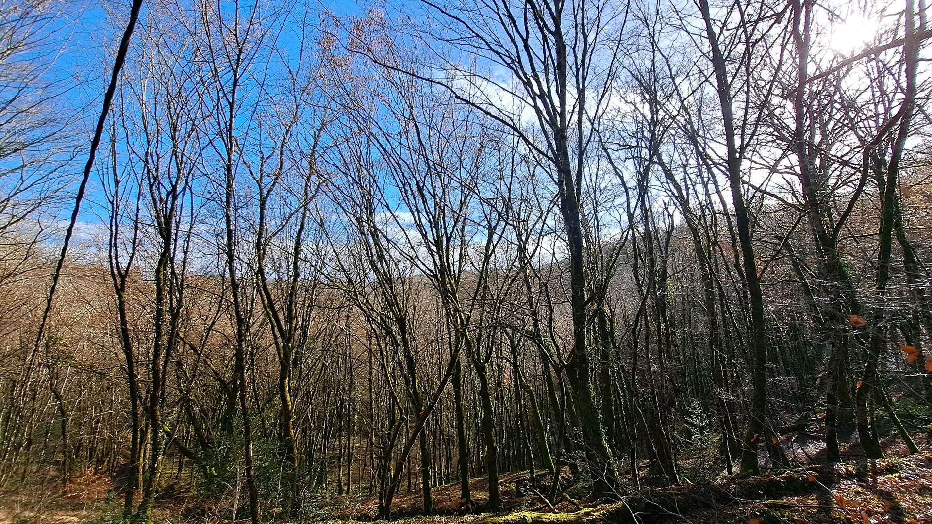 Du lac aus 2 moulins - Viegois © J (4)