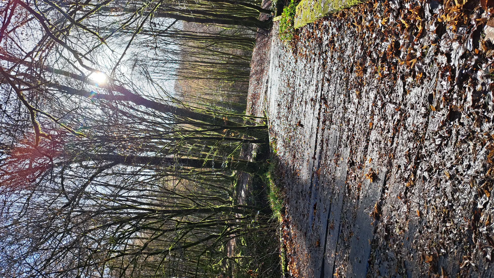 Du lac aus 2 moulins - Viegois © J (9)