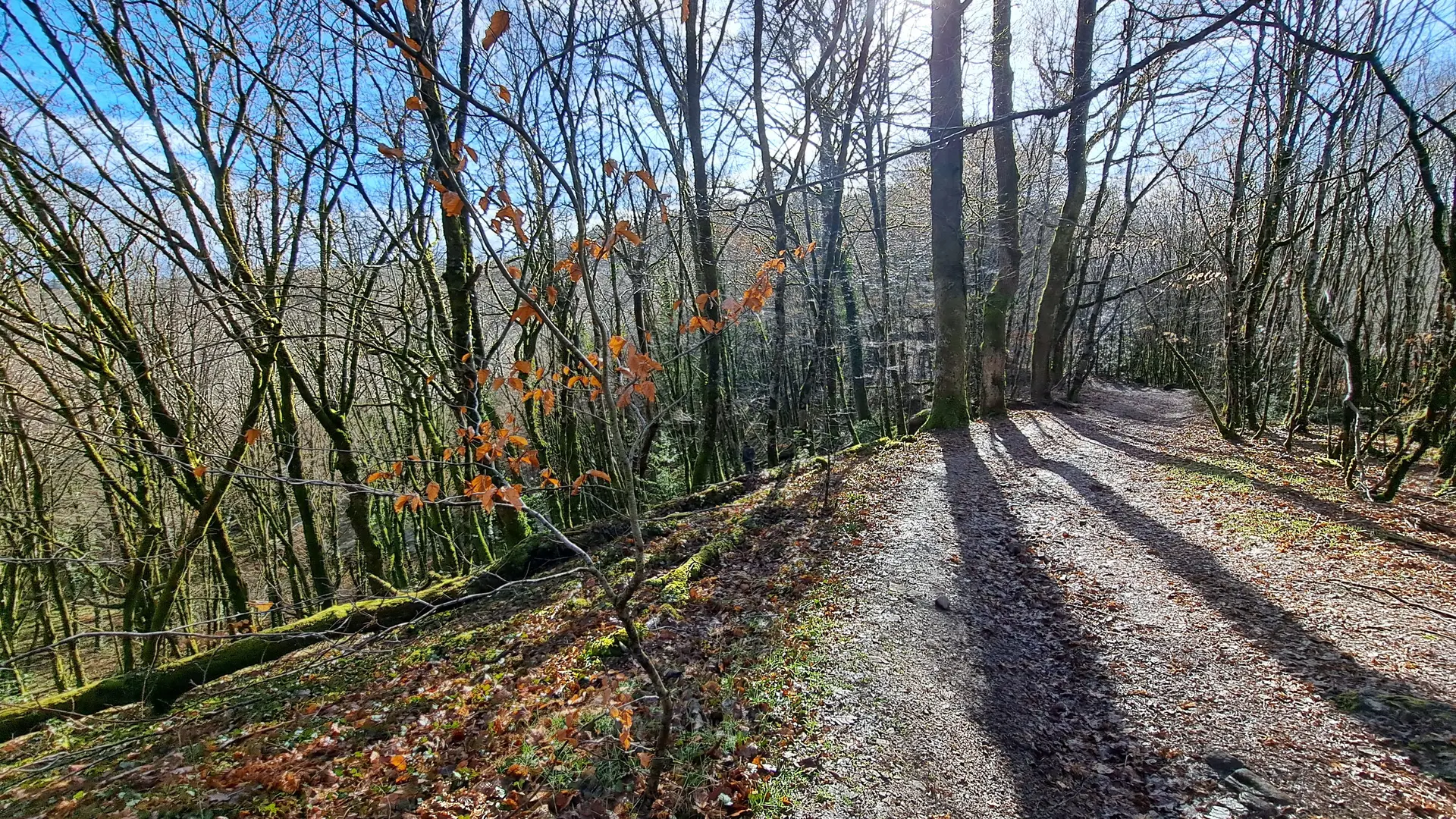 Du lac aus 2 moulins - Viegois © J (2)