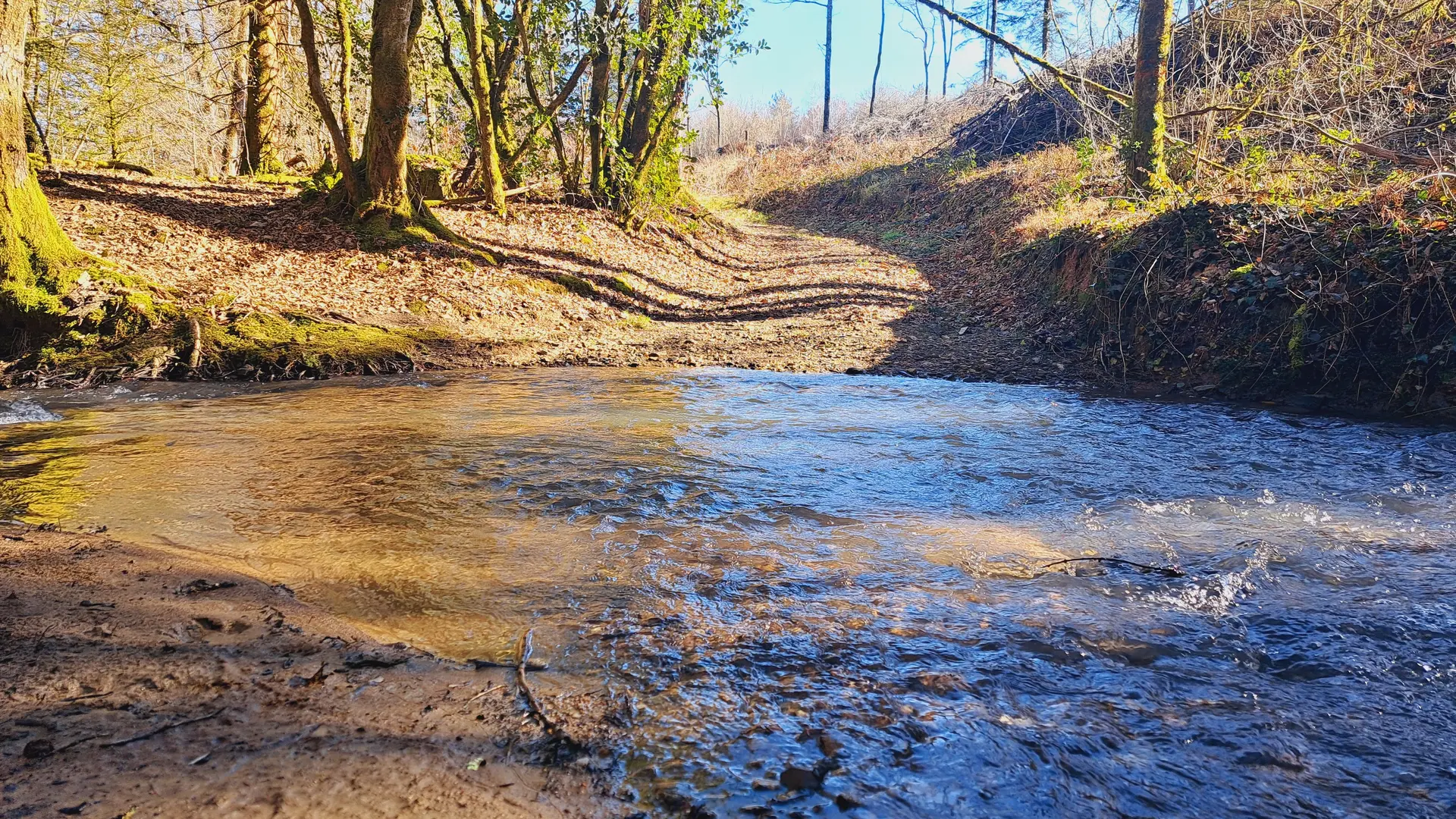 Eglise St Eutrope - La Siauve - Beyssac © JL OT TDC (4)