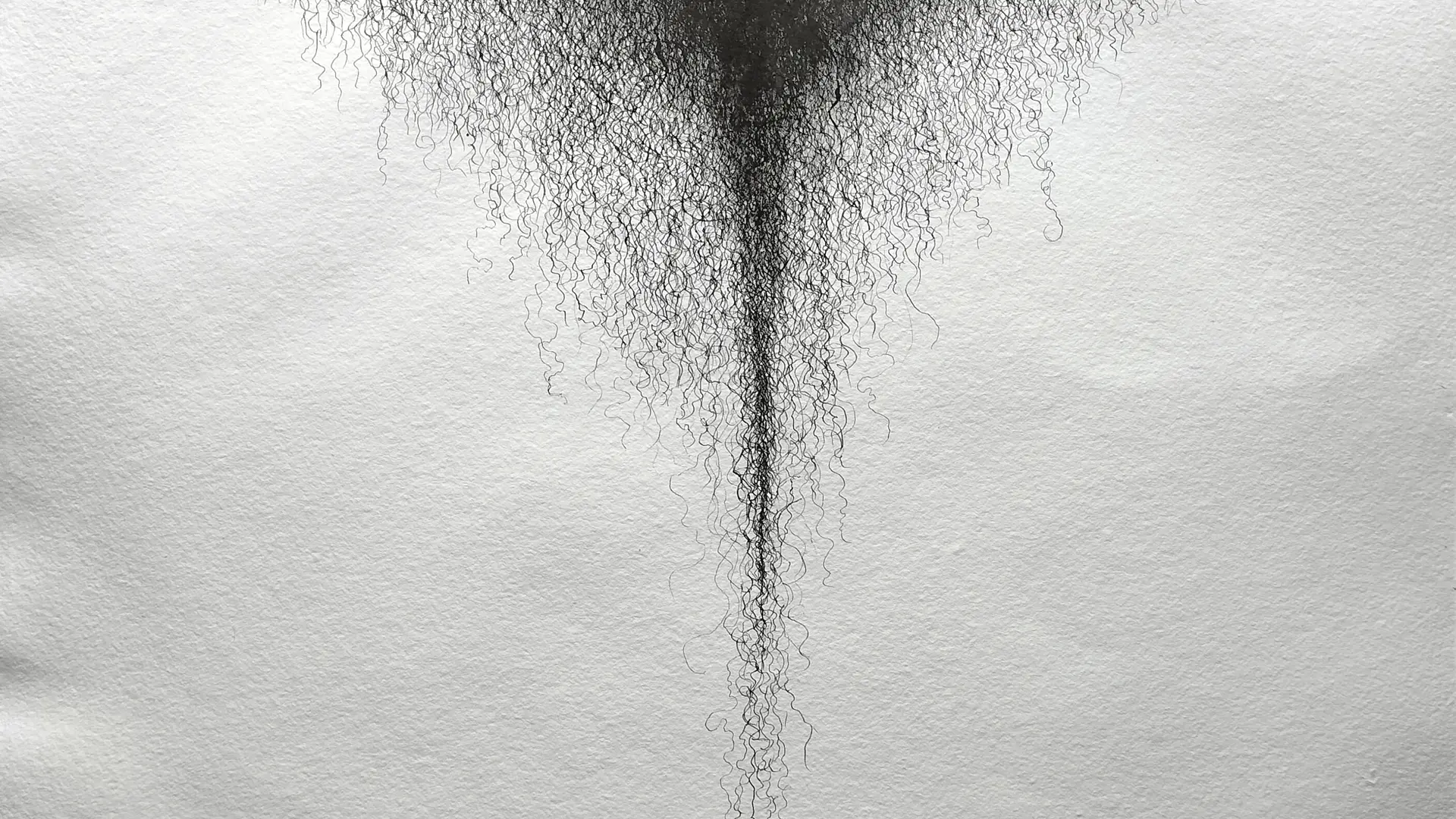 Enracinnement 1