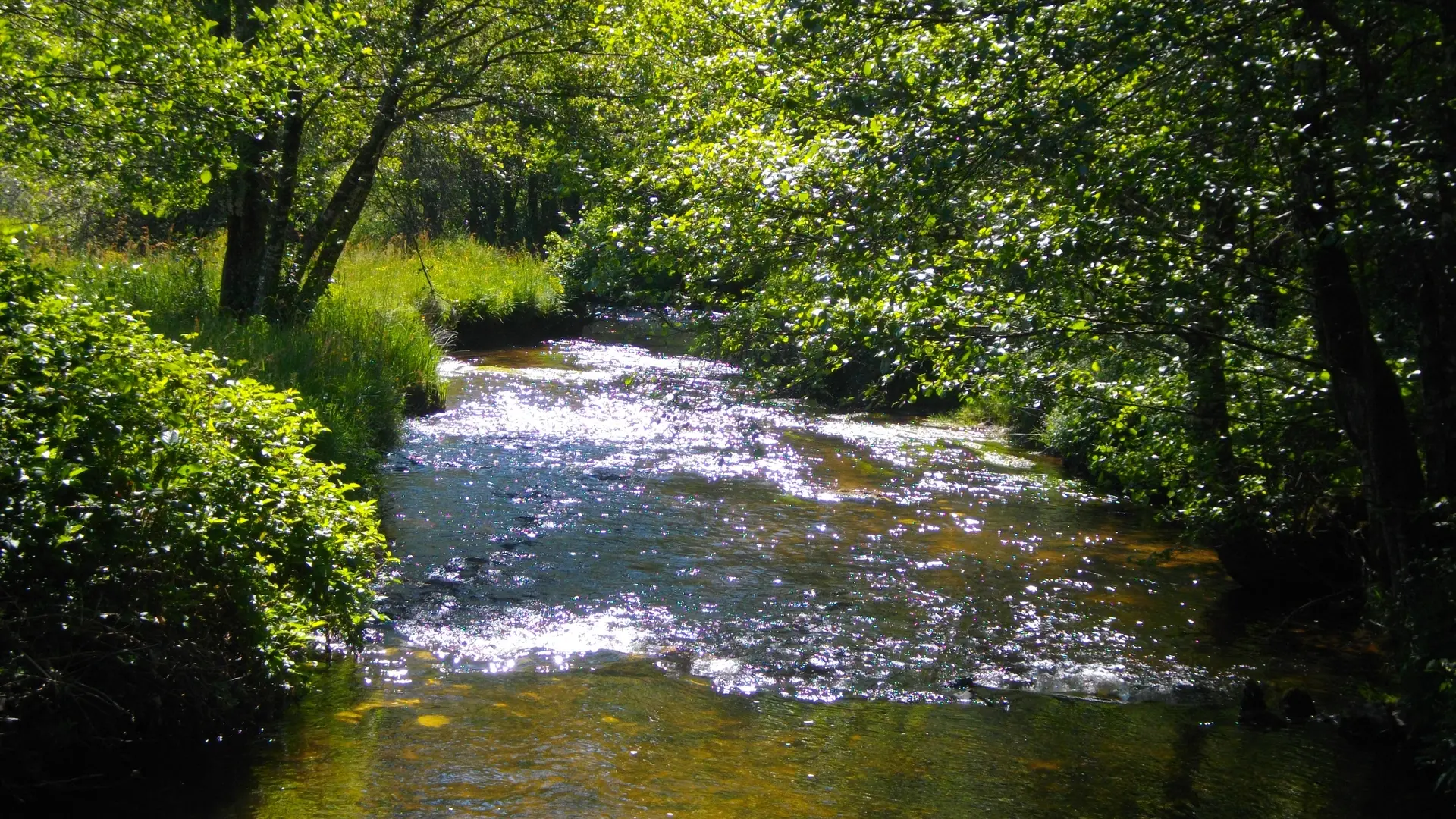 Entours_Diège