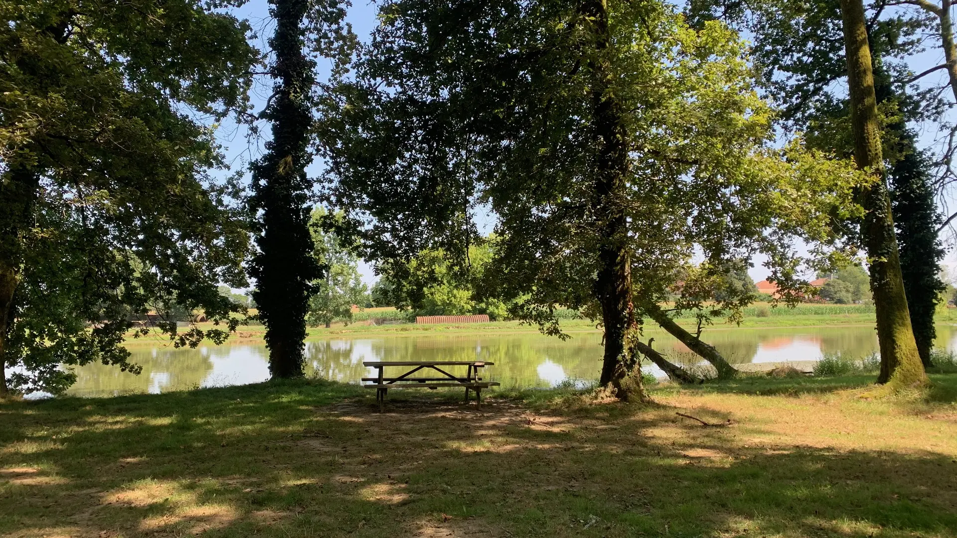 Etang à proximité du gîte